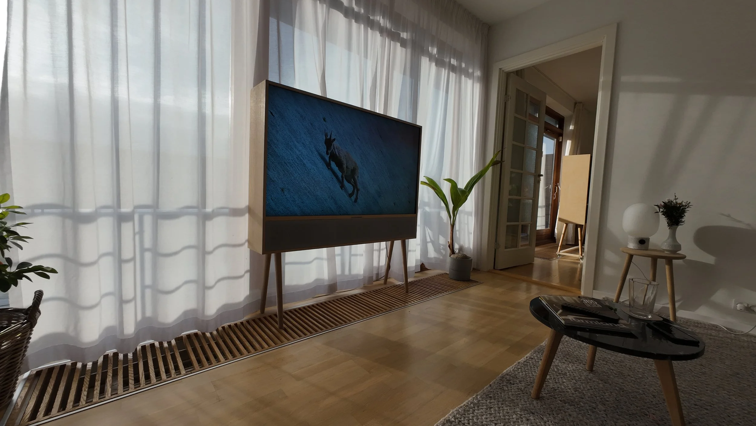 Living room with a large TV on a stand displaying a running animal, white curtains, potted plants, and side tables with decorative items and magazines.