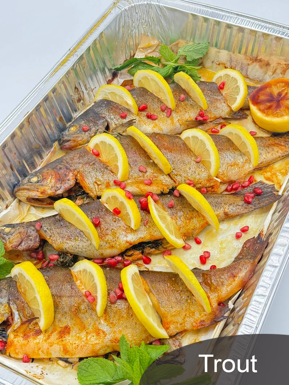 trout.png