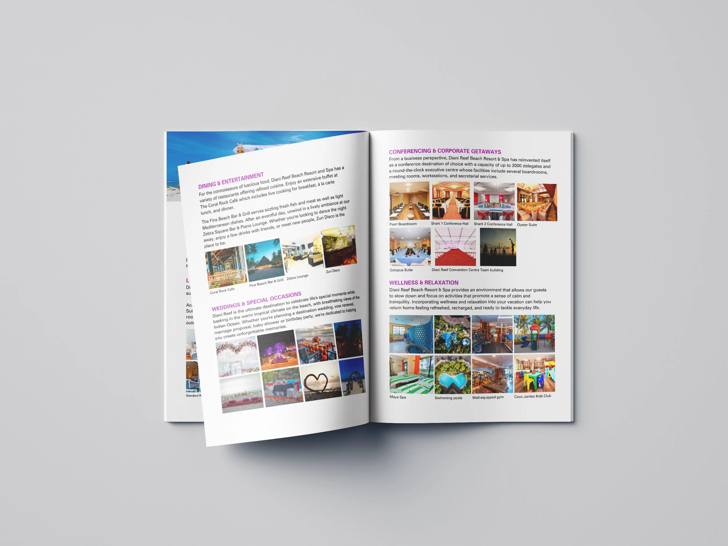 Free_A4_Brochure_Mockup_05 copy.jpg