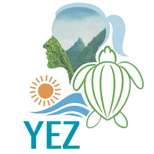 YEZ (4).png