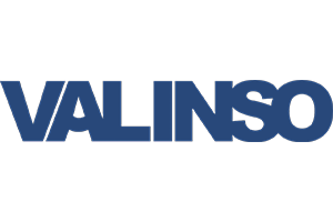 TDSM_Logo_Valinso.png