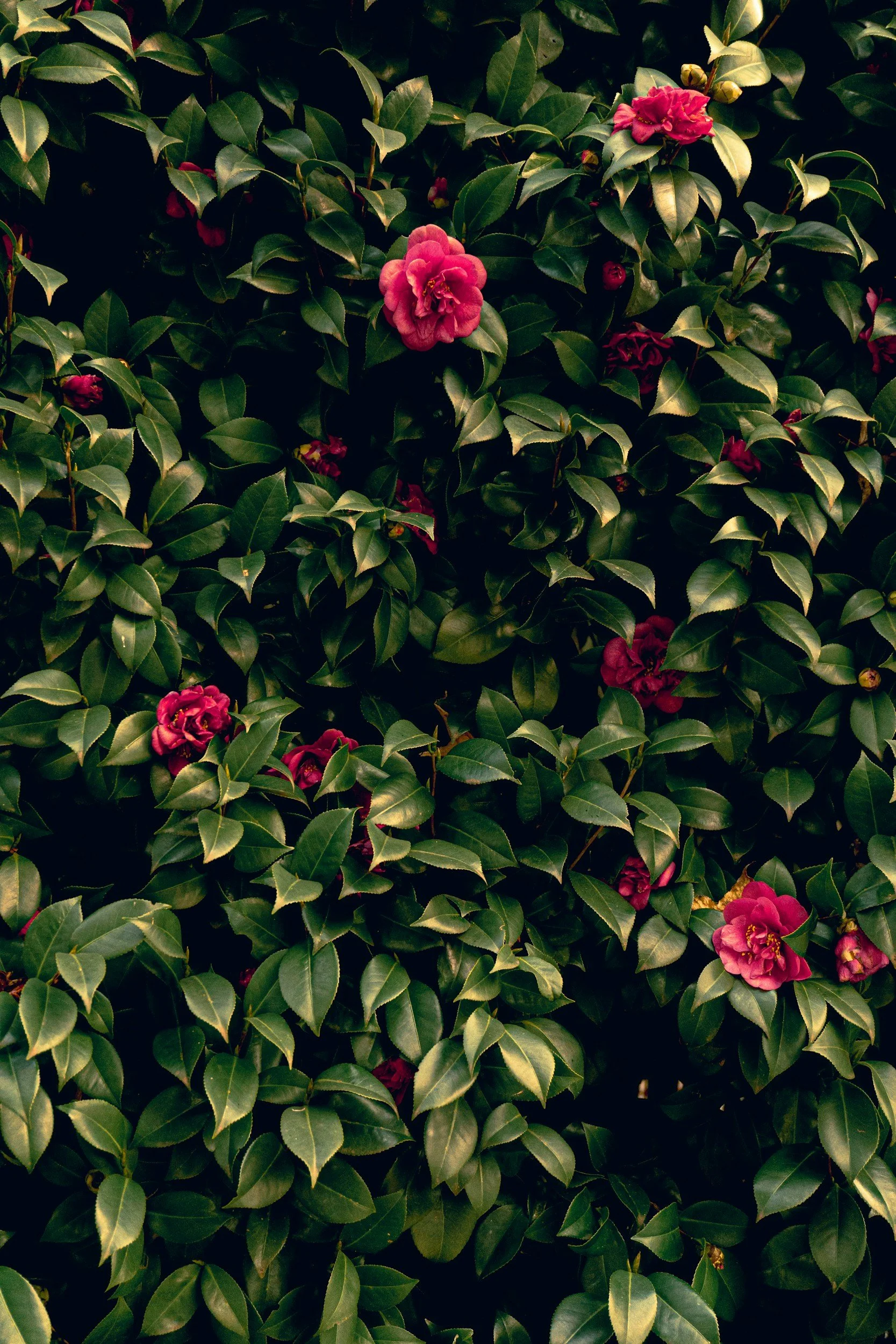 unsplash-image-3bPfsihBB5s.jpg