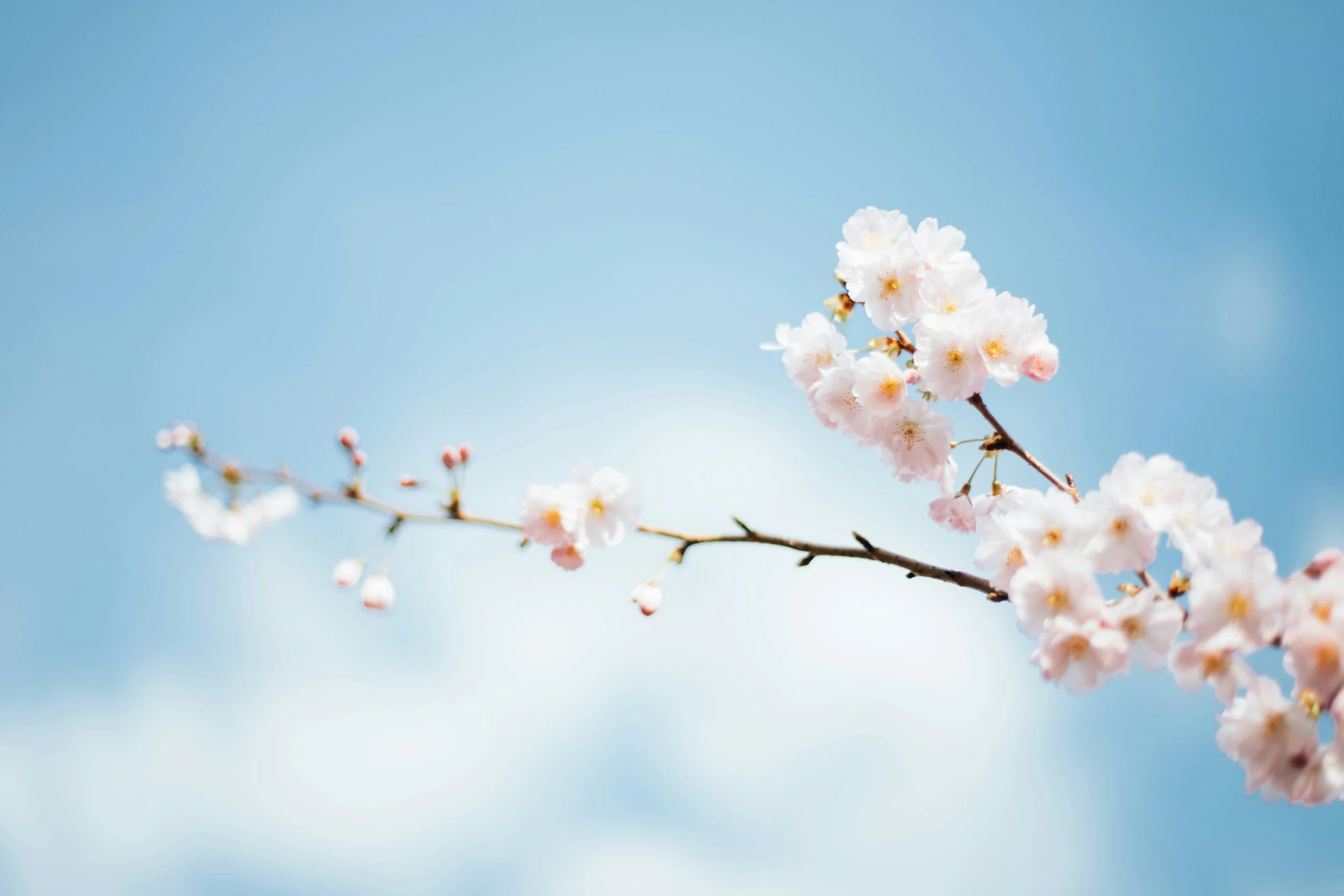 unsplash-image-urUdKCxsTUI.jpg