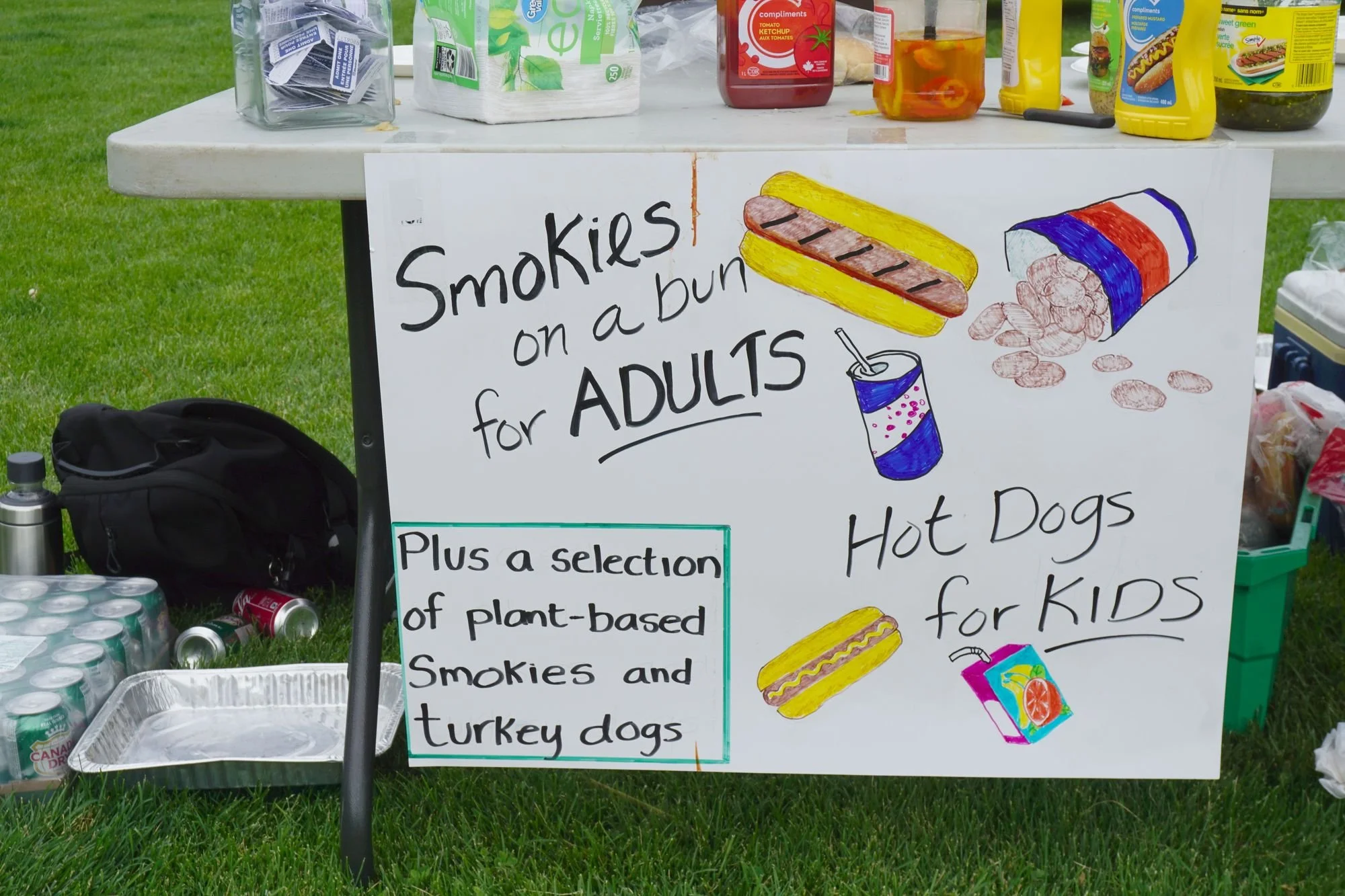 2024 Festival In The Park 13.JPG