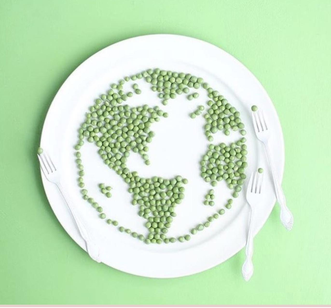 Net Zero Journey Planning.png