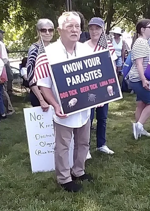 The Art of The Protest