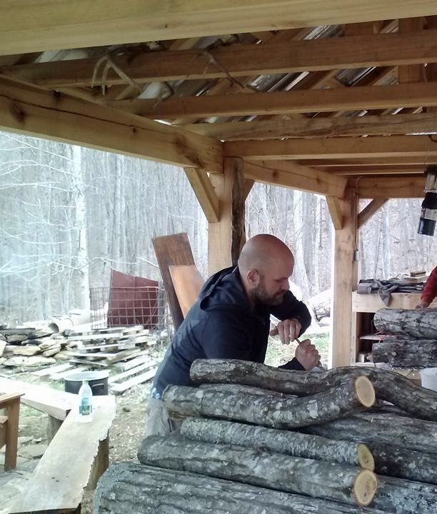 Inoculated Shiitake Mushroom Logs