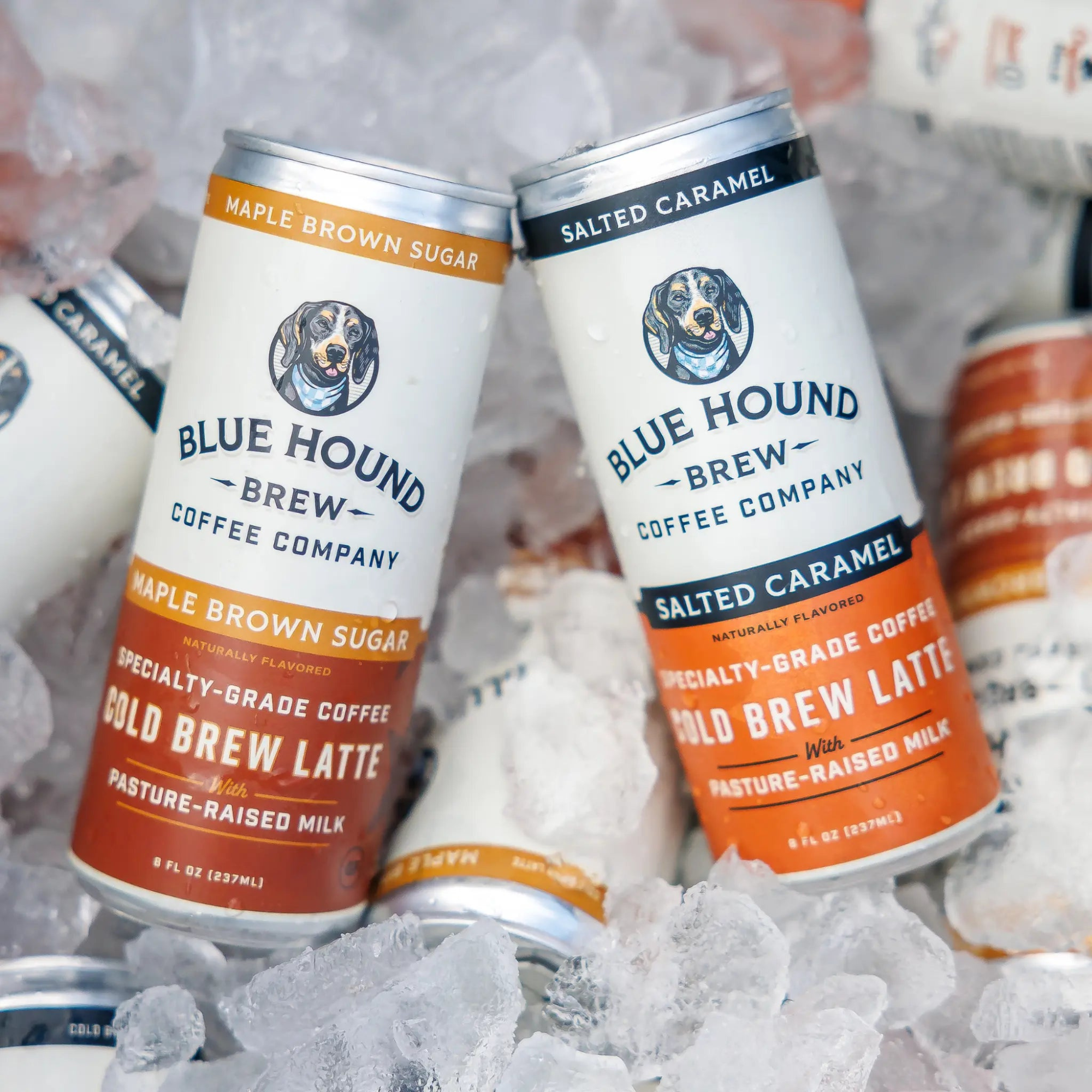 Blue Hound Cold Brew