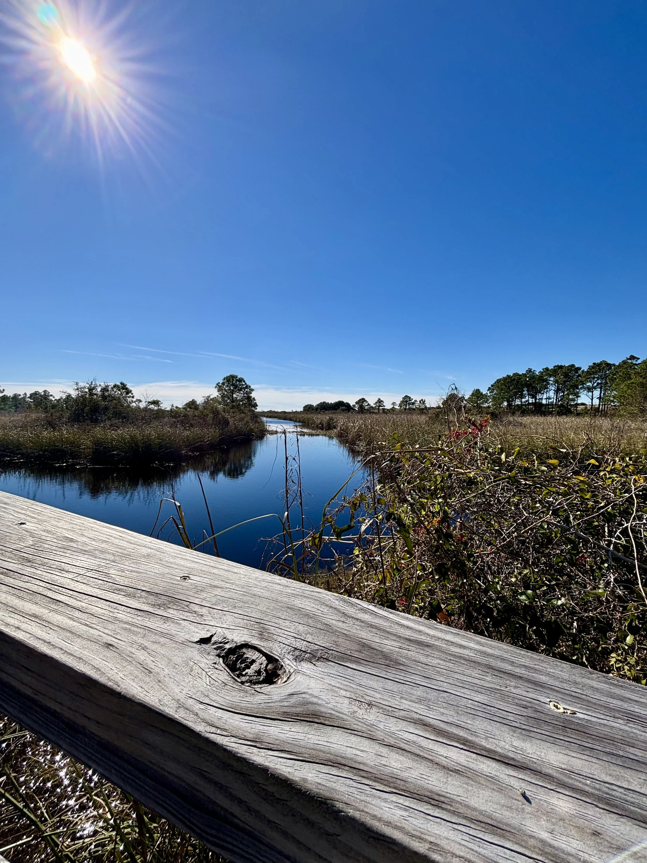 Gulf Island National Seashore