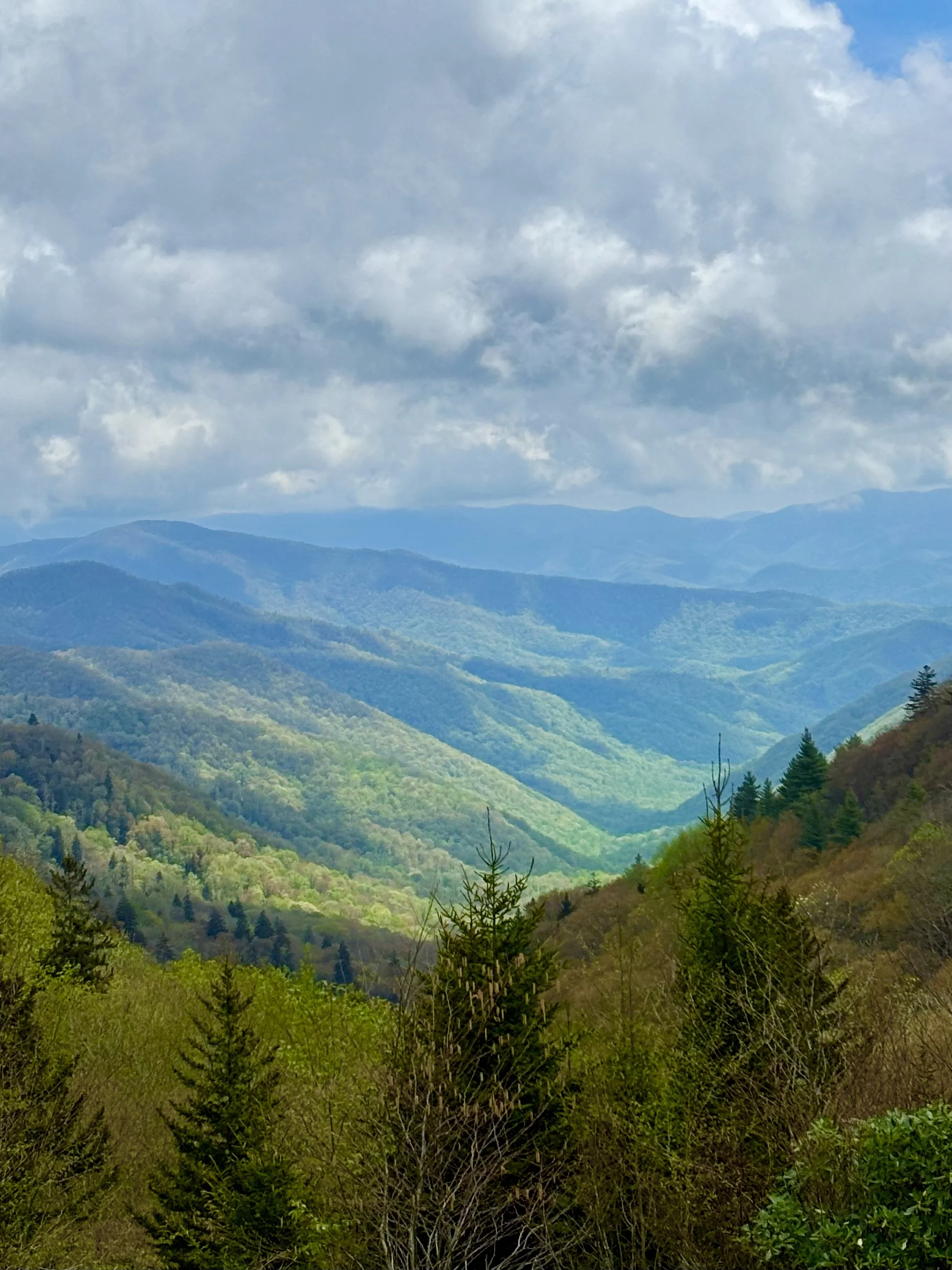 Great Smoky Mountains National Park