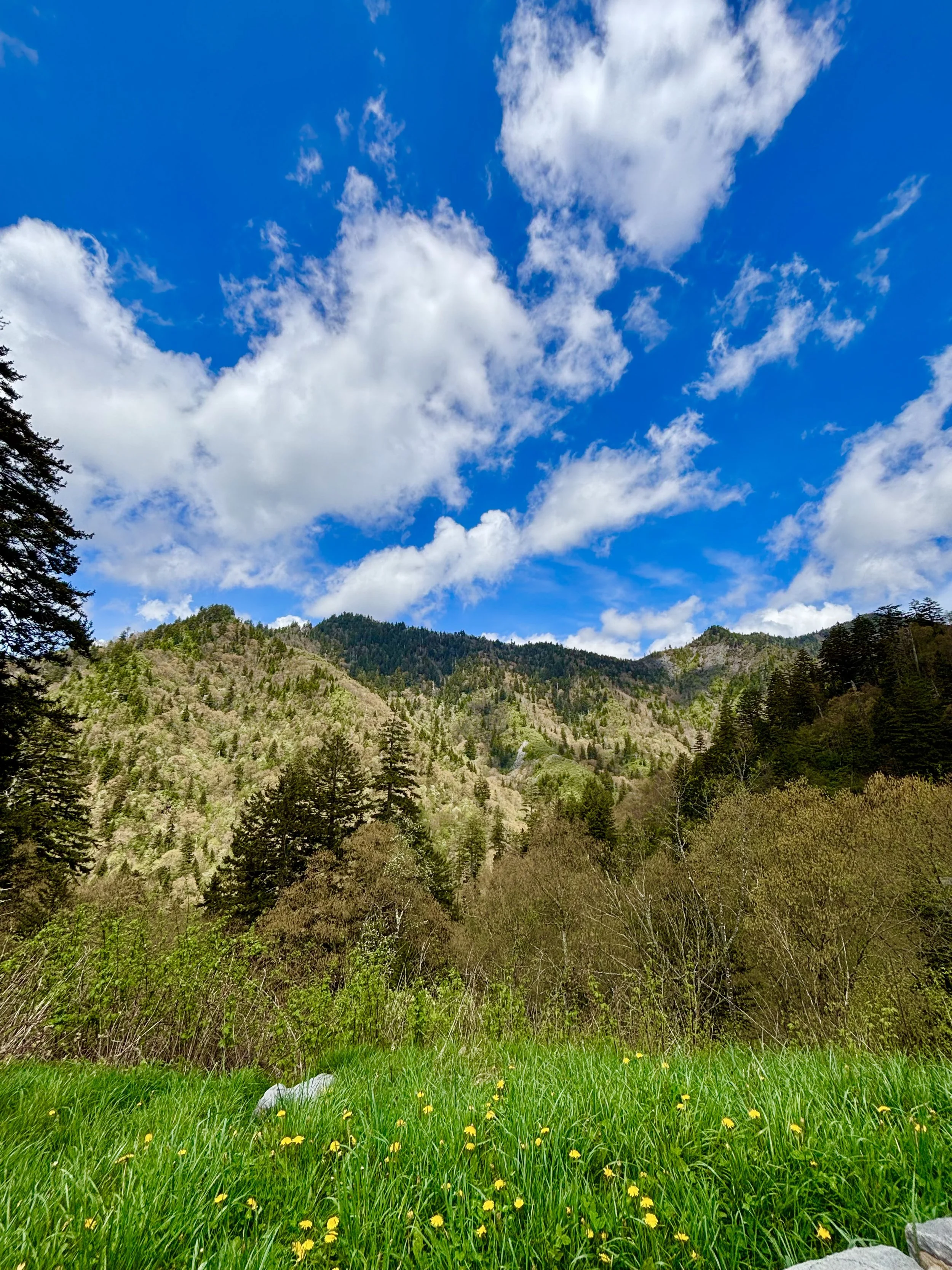 Great Smoky Mountains National Park