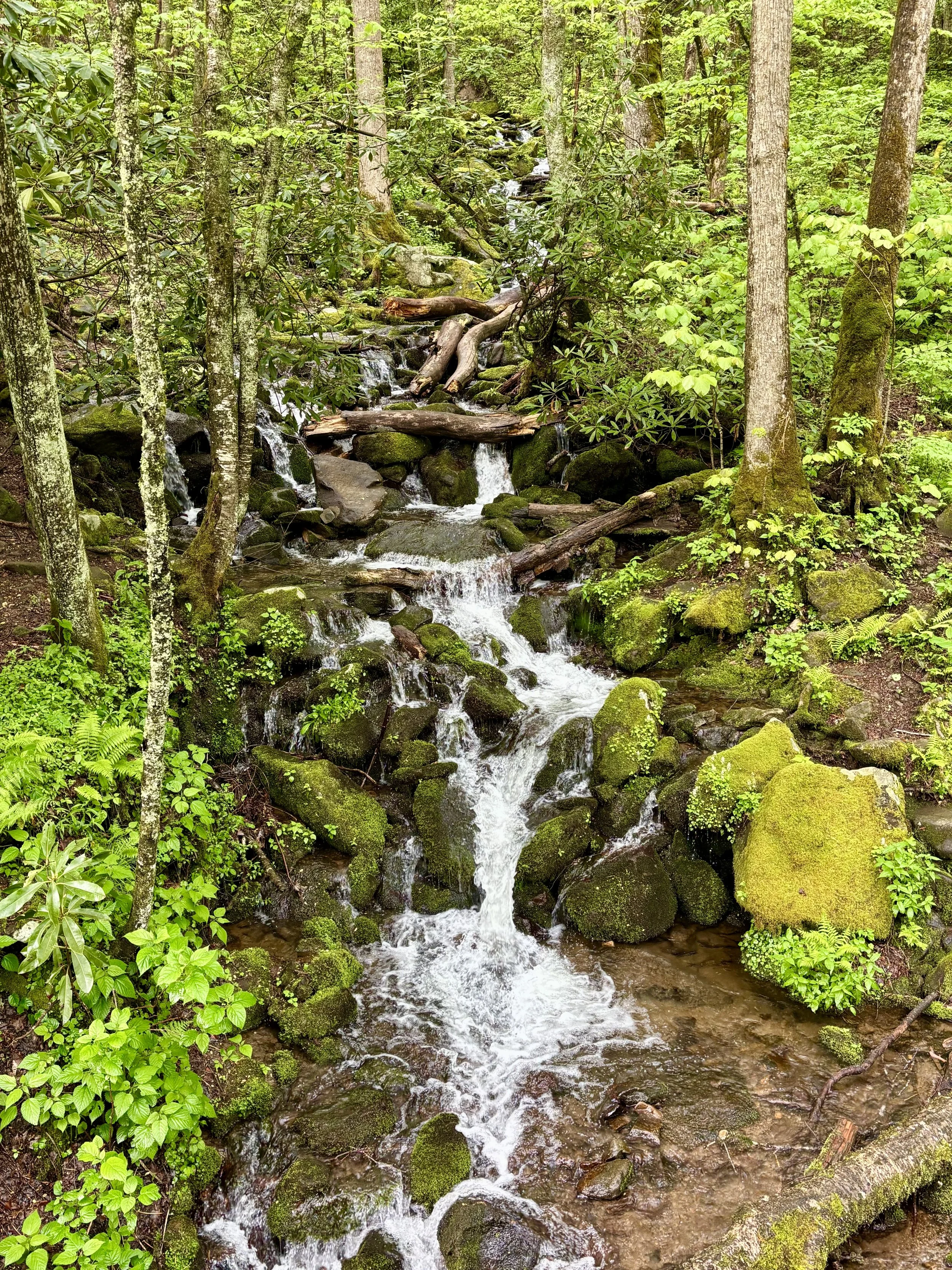 Great Smoky Mountains National Park