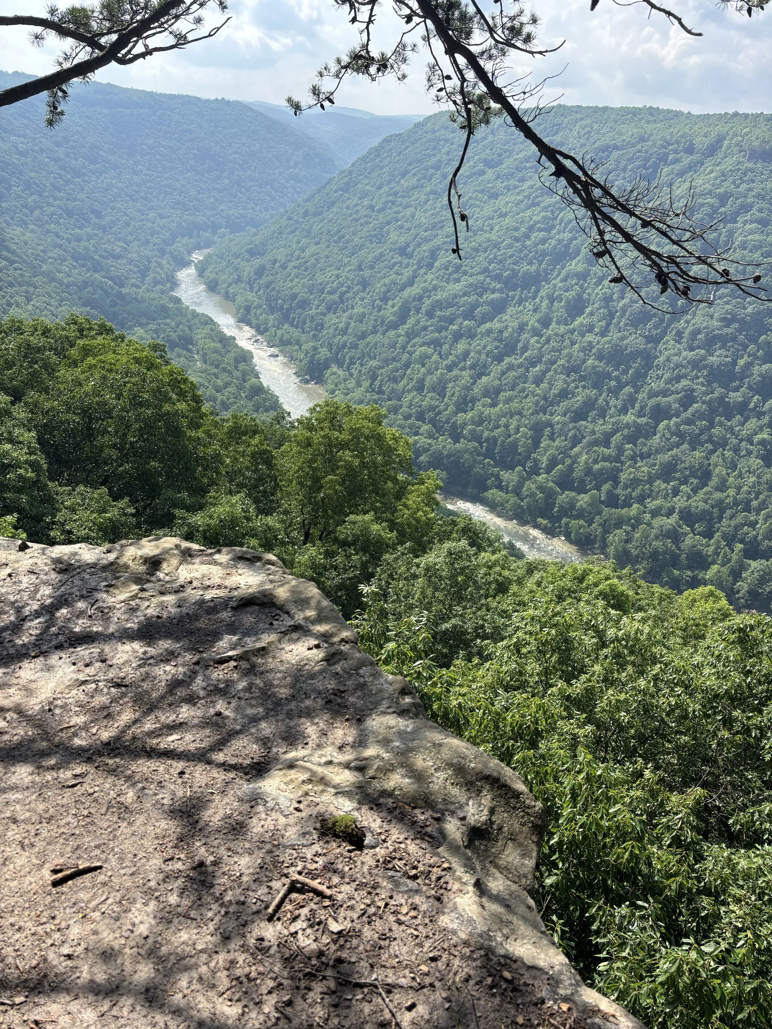New River Gorge National Park from the trail.