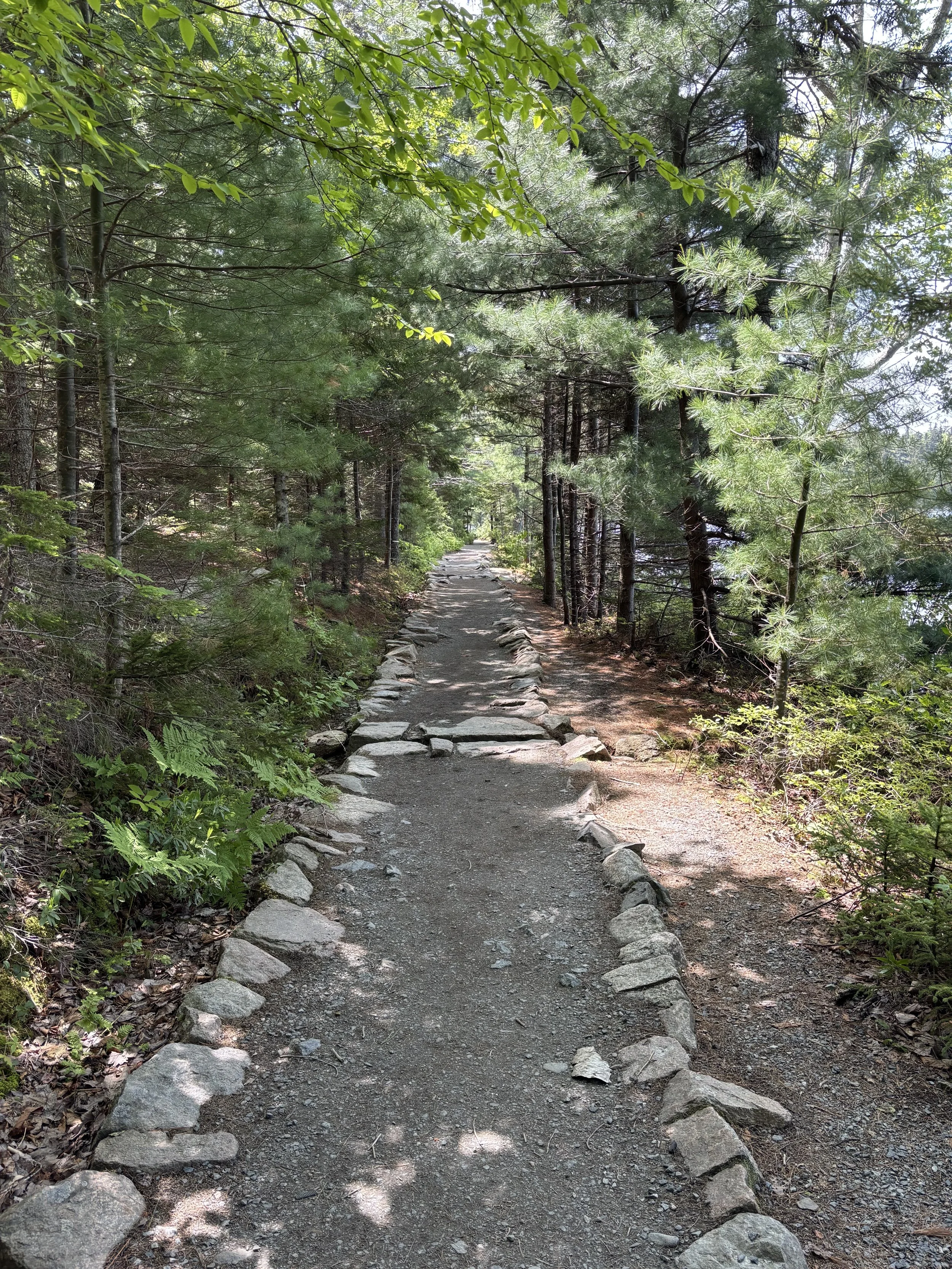Trail Around Jordan Pond