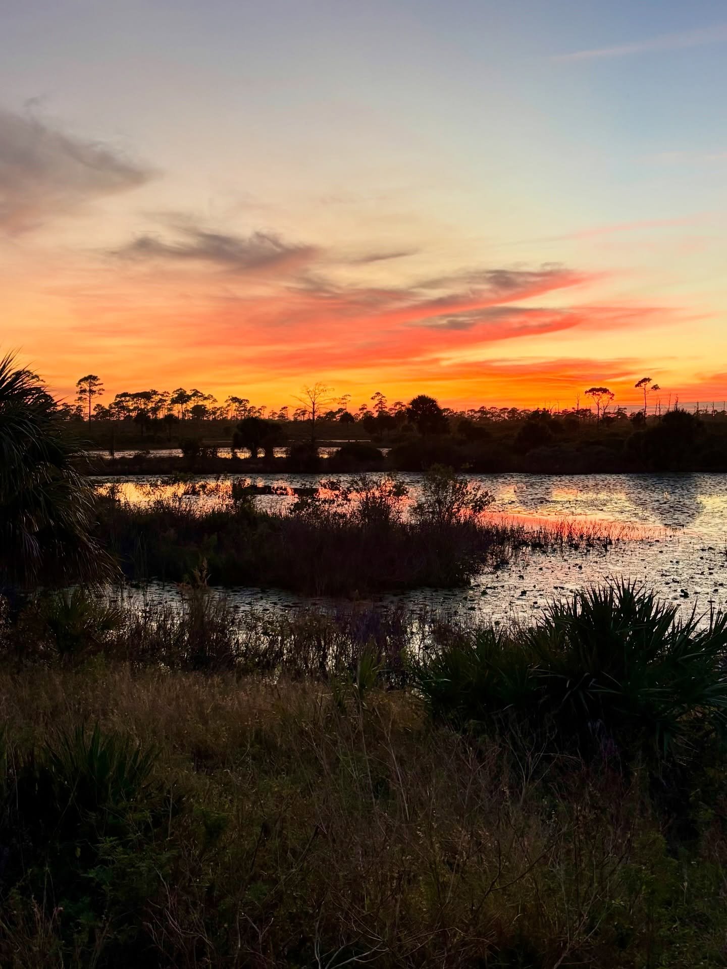 Headed home for the holidays and made sure to stop at one of my favorites tonight, Jonathan Dickinson State Park. #florida #hobesound #jonathandickinsonstatepark #vanlife #floridagirl