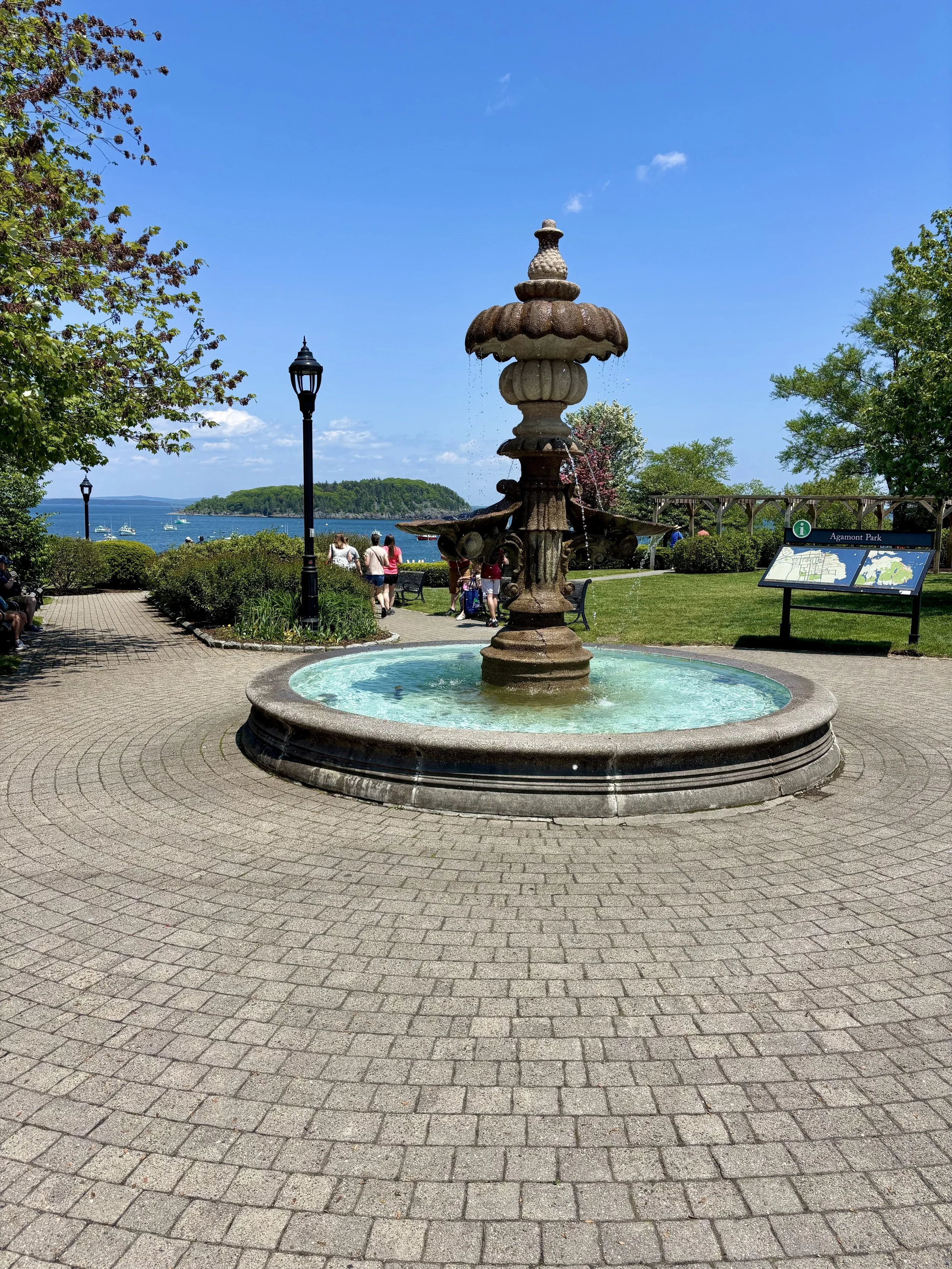 Pretty views at the park