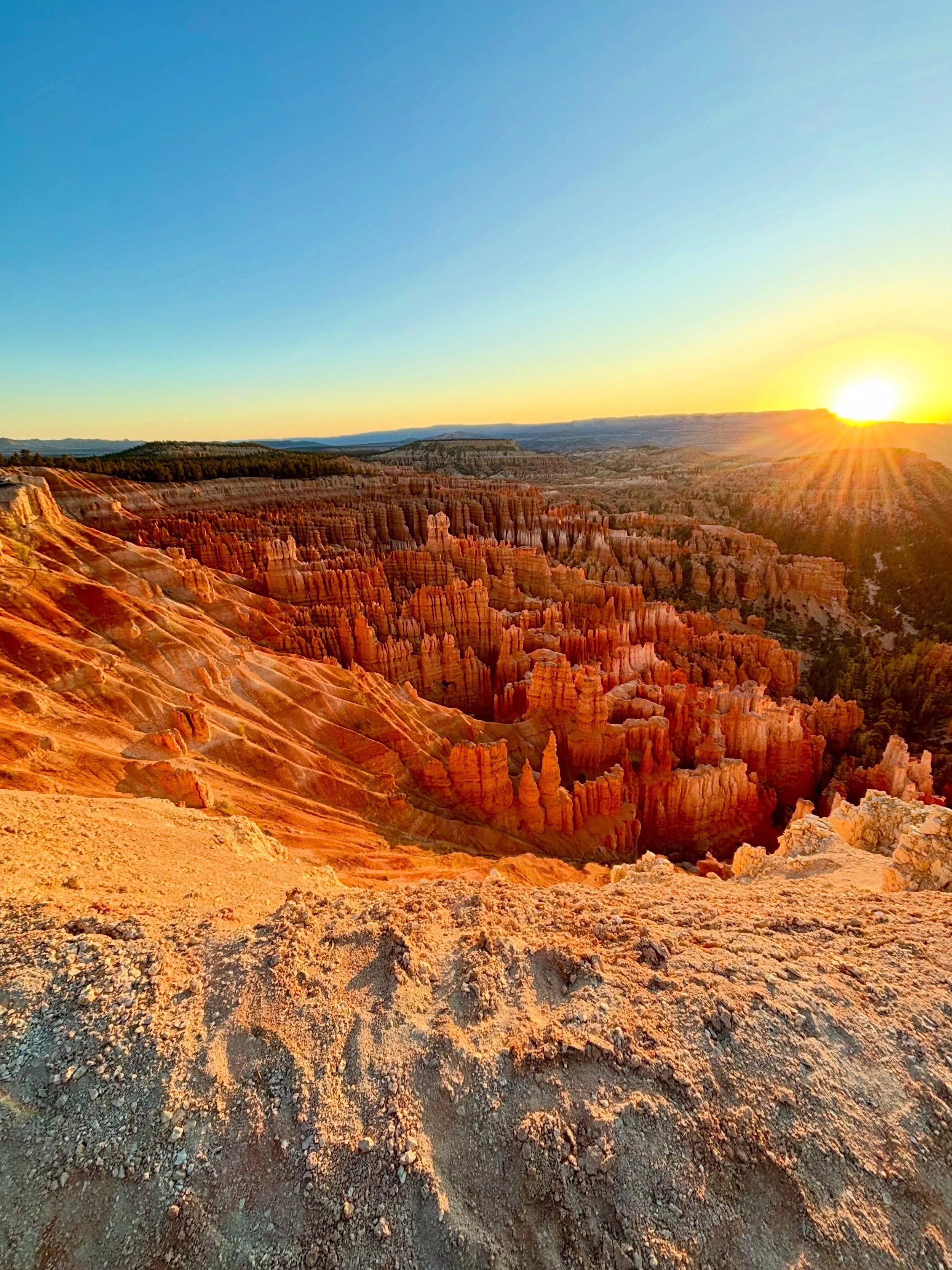 My favorite views of Bryce Canyon National Park. This park has my ❤️ #vanlife #hiking #nature #brycecanyon #nationalparks