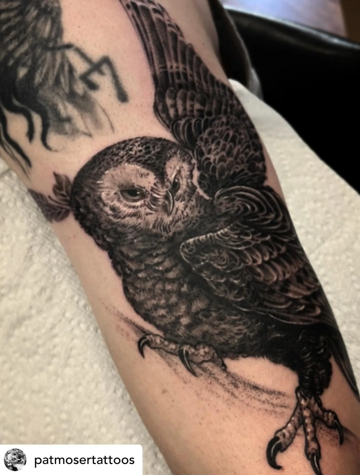 Owl by @patmosertattoos done at #havertownelectrictattoo 

#delco 
#delcotattooshops 
#havertown