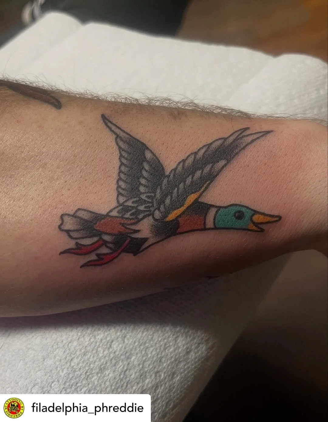 Little ones or big projects&hellip;. @filadelphia_phreddie has you covered!

DM him directly to book, or come see him in person&hellip; Fred&rsquo;s at the shop Sunday through Thursday every week