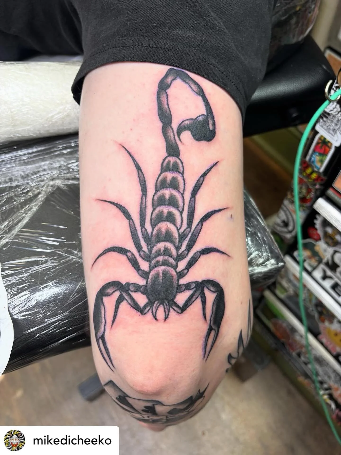 Scorpion by @mikedicheeko done at #havertownelectrictattoo 

We&rsquo;re open 7 days!
Appointments aren&rsquo;t required, walk-ins are welcome!