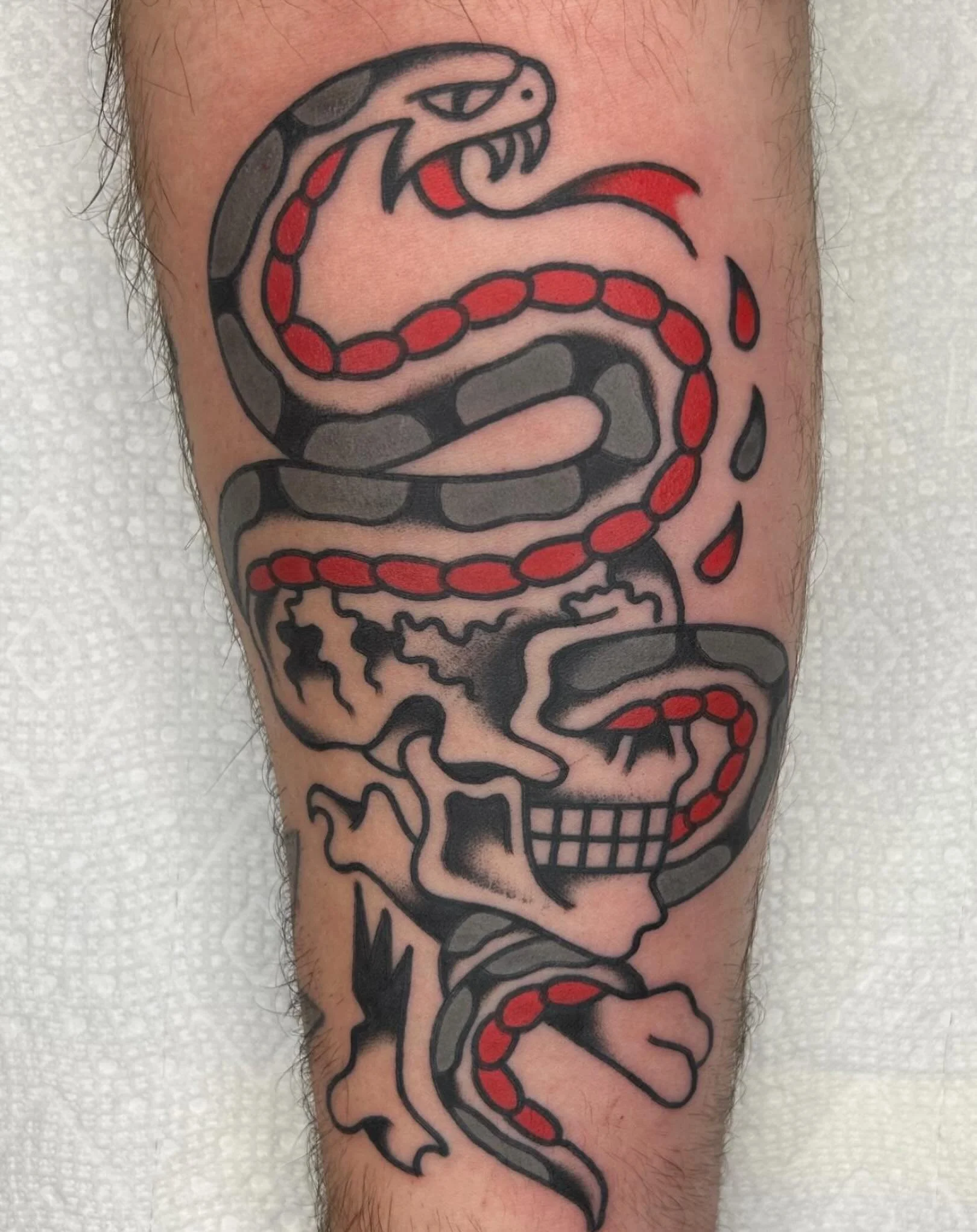 🐍💀 done by @zach_beltran_tattooss at #havertownelectrictattoo 

We have time for tatts! We are here 7 days a week and walk-ins are always welcome!