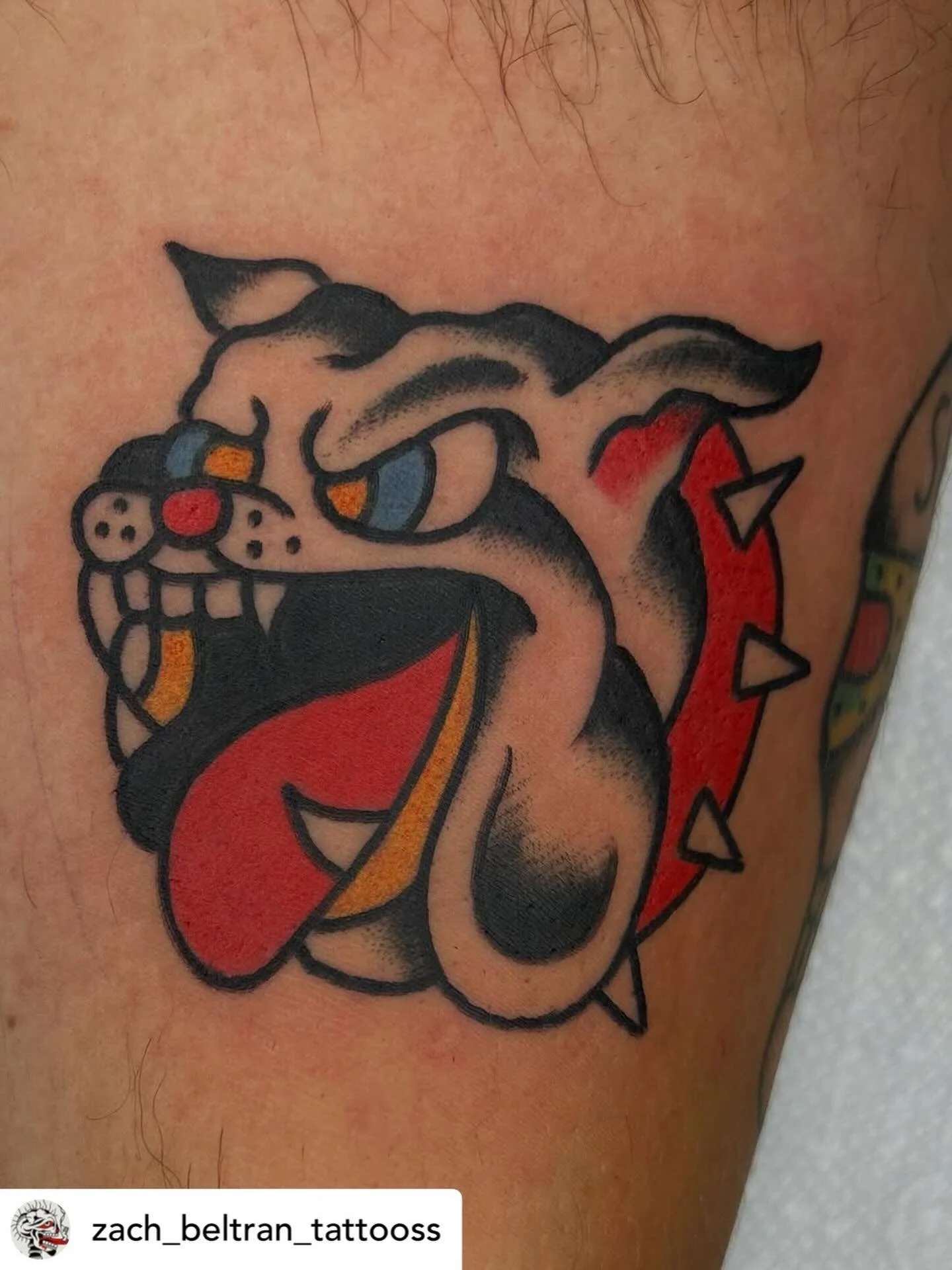 Bulldog by @zach_beltran_tattooss 
Walk-ins always welcome! 
#havertownelectrictattoo is open 7 days a week!