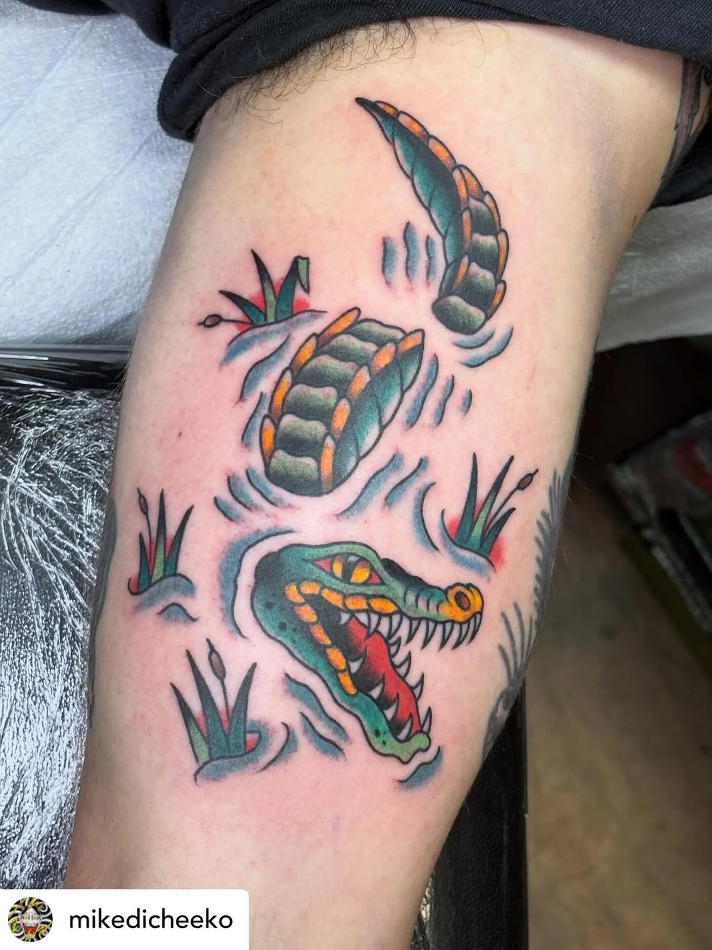 🐊 by @mikedicheeko done at #havertownelectrictattoo 

It&rsquo;s a beautiful weekend and we are always taking walk-ins! Come on through!