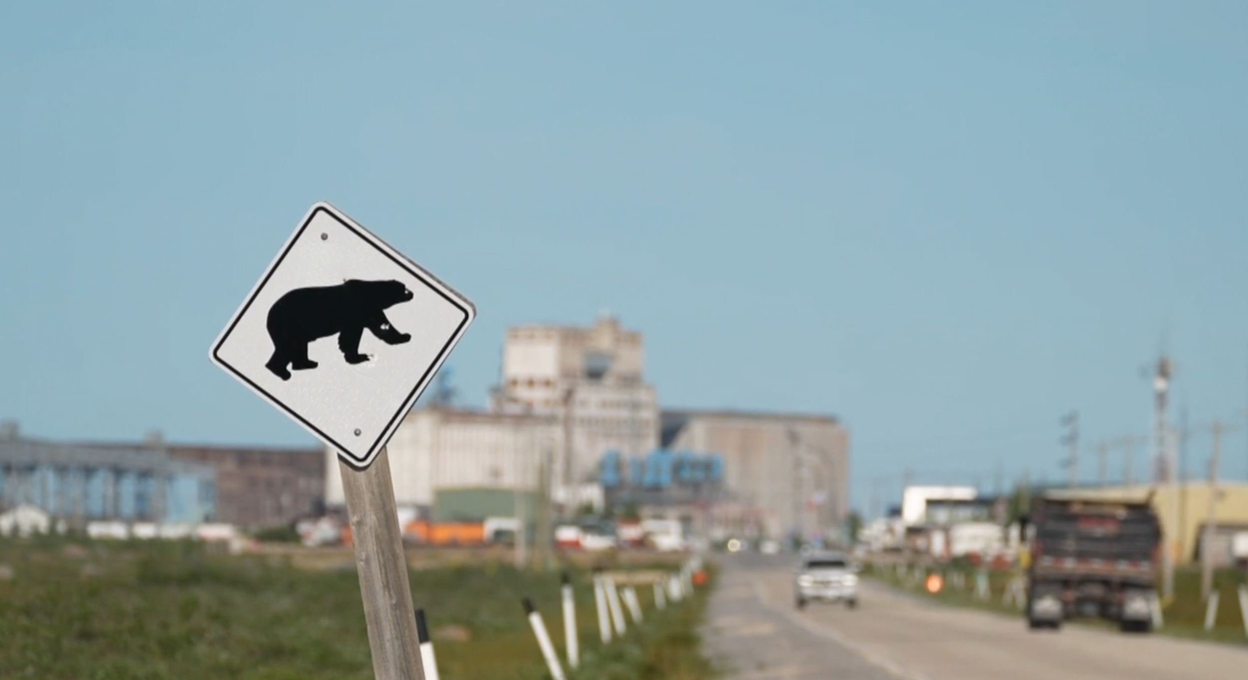 Canadian Bear Officer