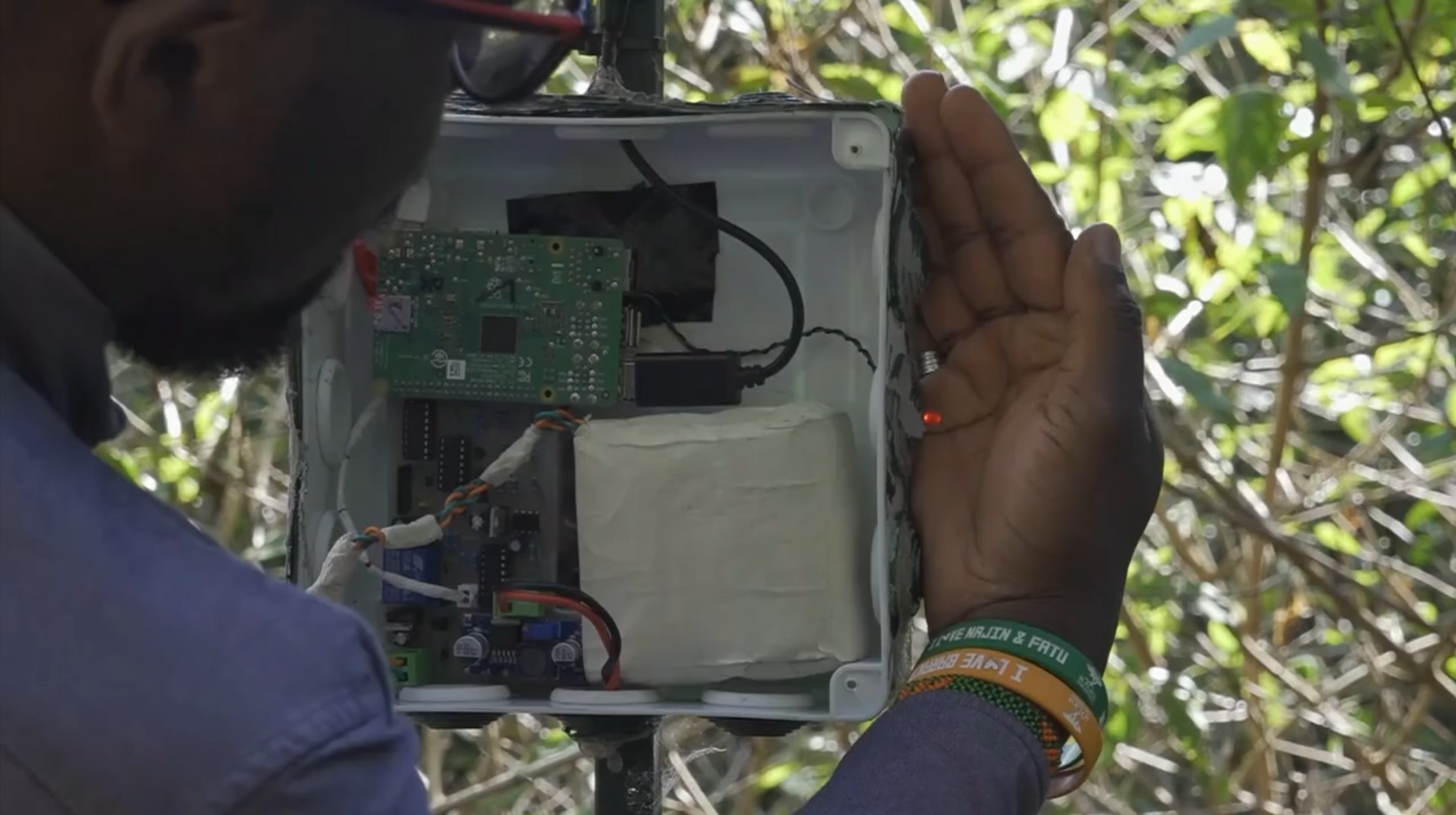 AI for Forest Health