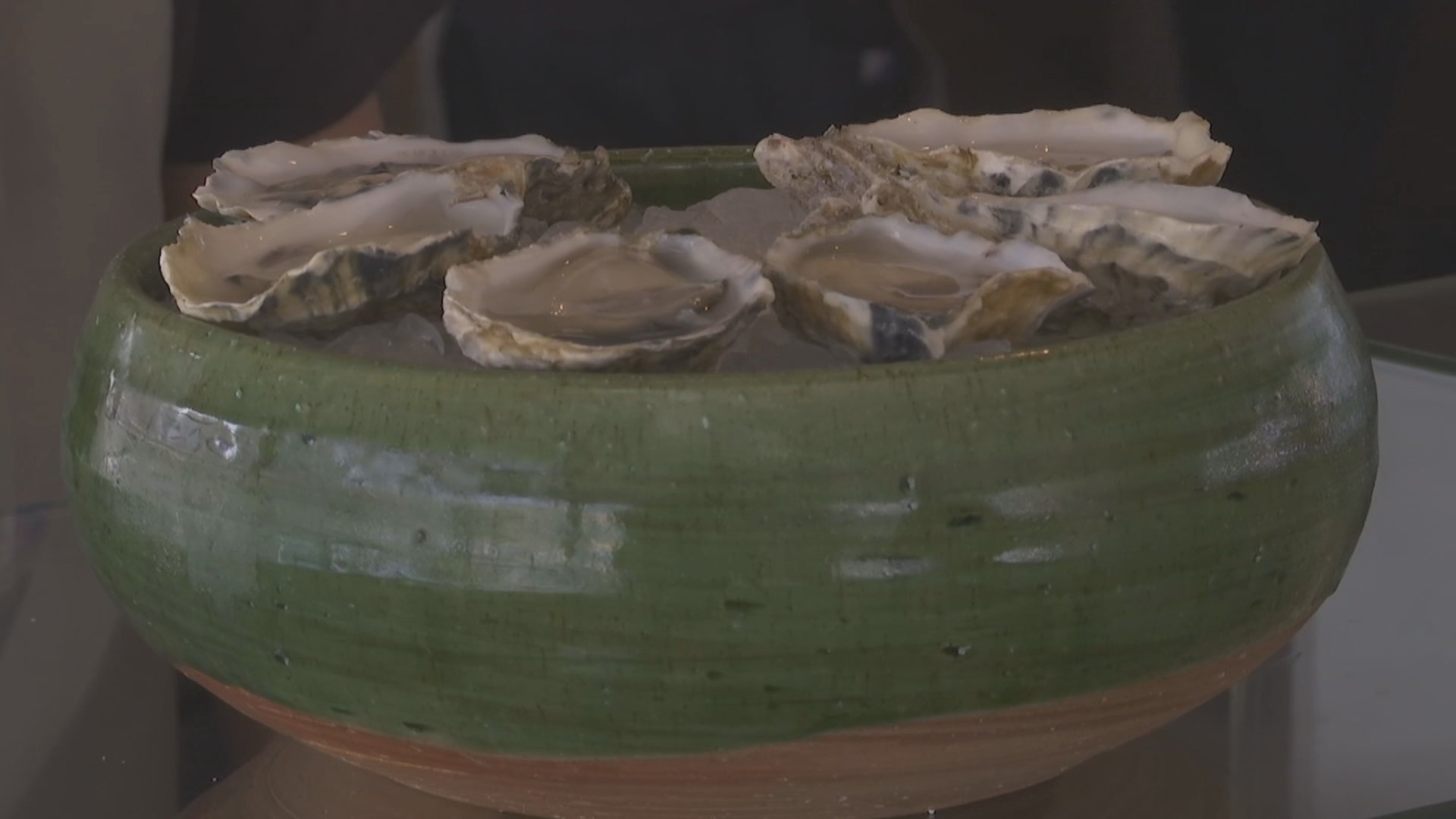Oysters in the UAE