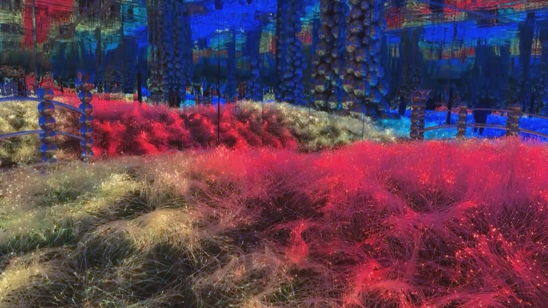 Digital Amusement Park