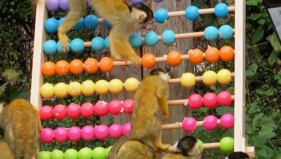 London Zoo Stock Take