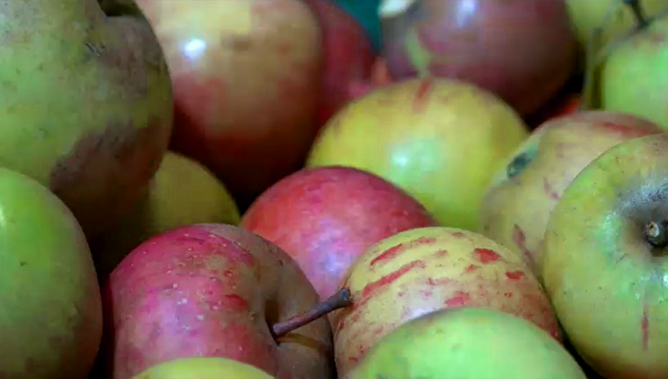 Apple Day