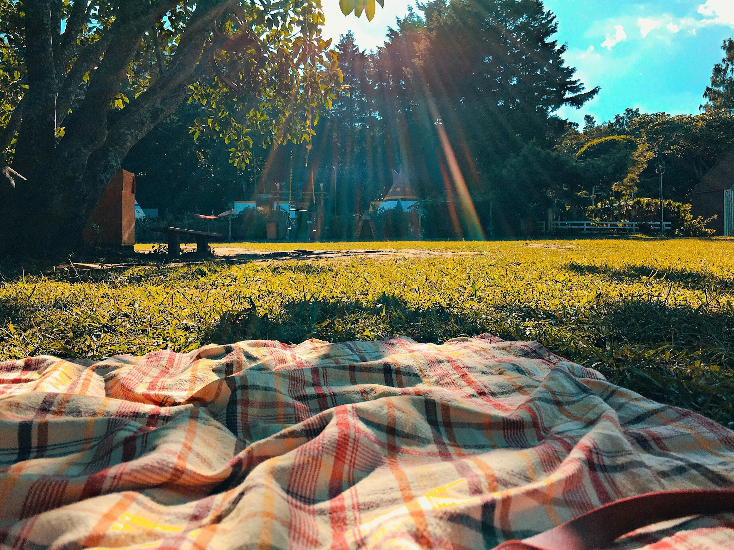 Annual Summer Picnic