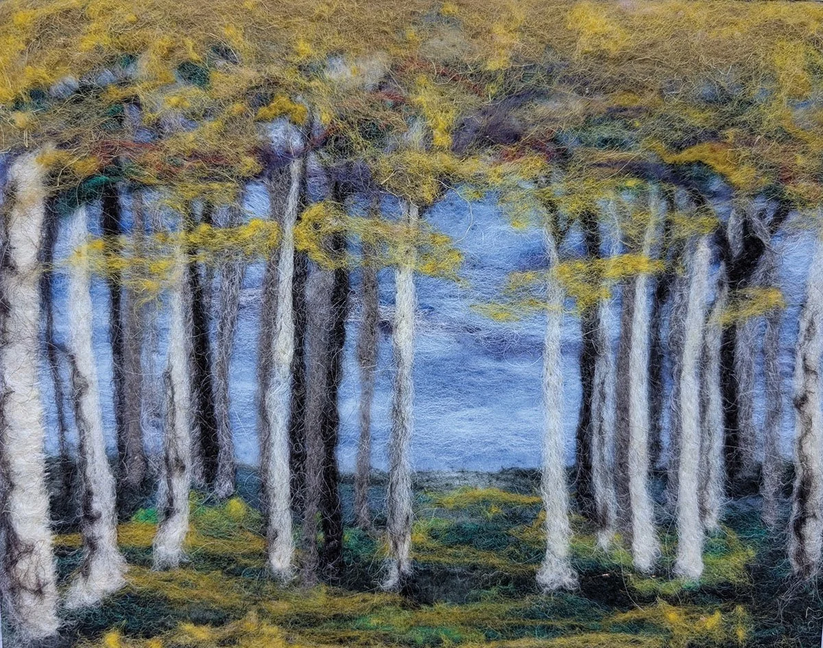 Birch_trees.jpg