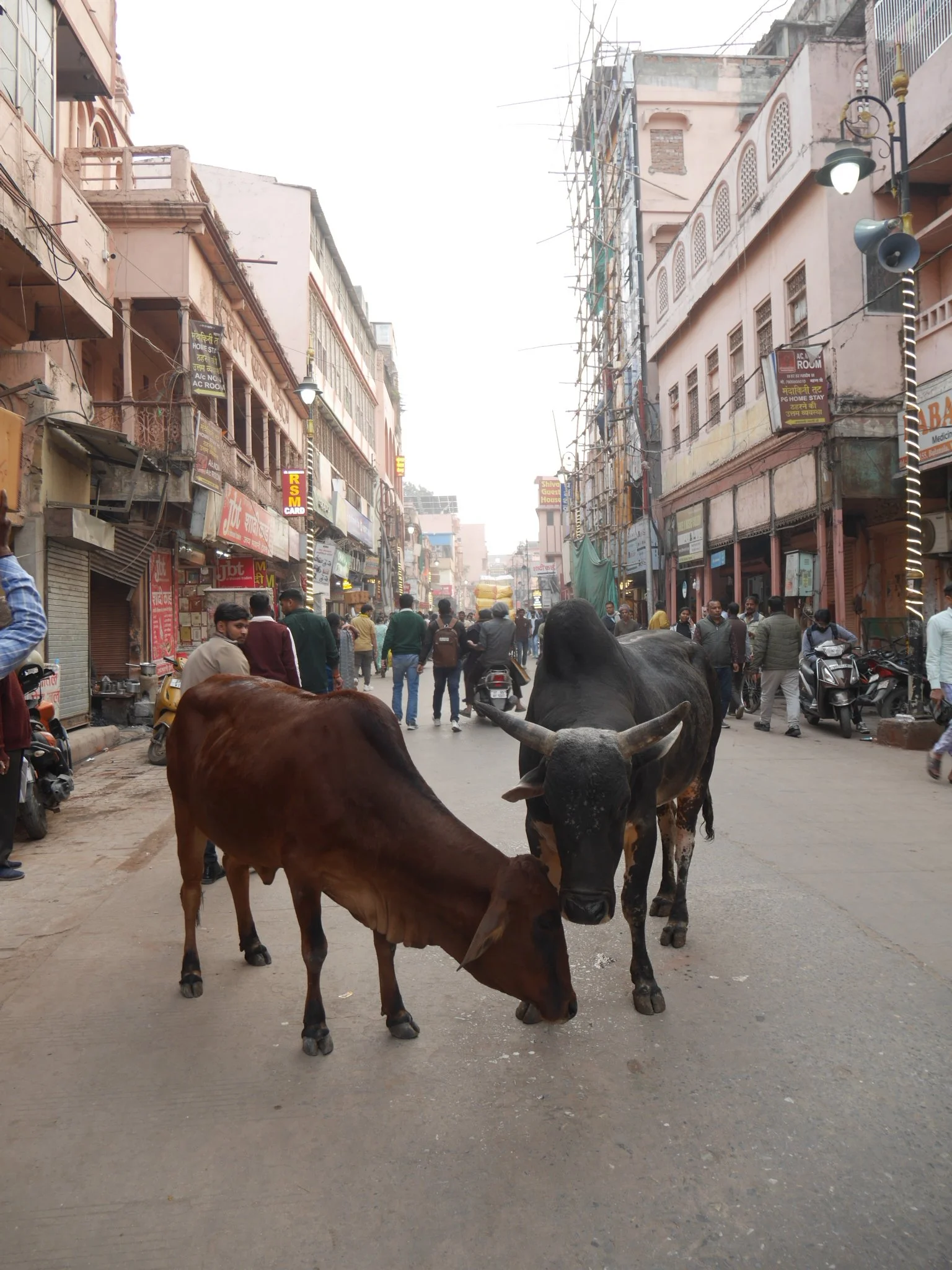 Episode.4 Moments from India