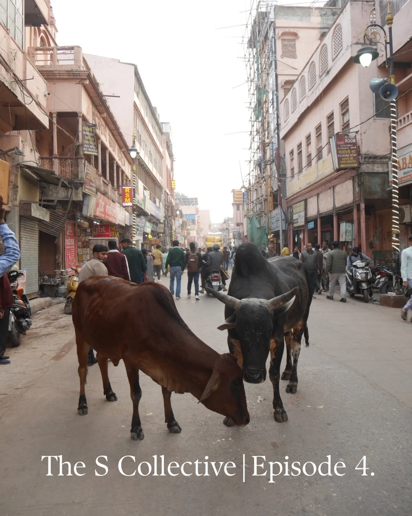 .
.
The S Collective | Episode 4.【Moments from India】

記憶は記憶として残っているうちに。今回は文字ではなく、動画として今の想いを残しています。

インドへ行く方、ヨガの修行を深めたい方におすすめのエピソードです。

動画へは、Instagramプロフィールのリンクからjournalページへ飛ぶとご覧頂けます。

#india #mumbai #yogatraining #yogaassists #jivamuktiyoga