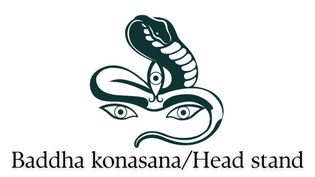 1st April サムネ.png