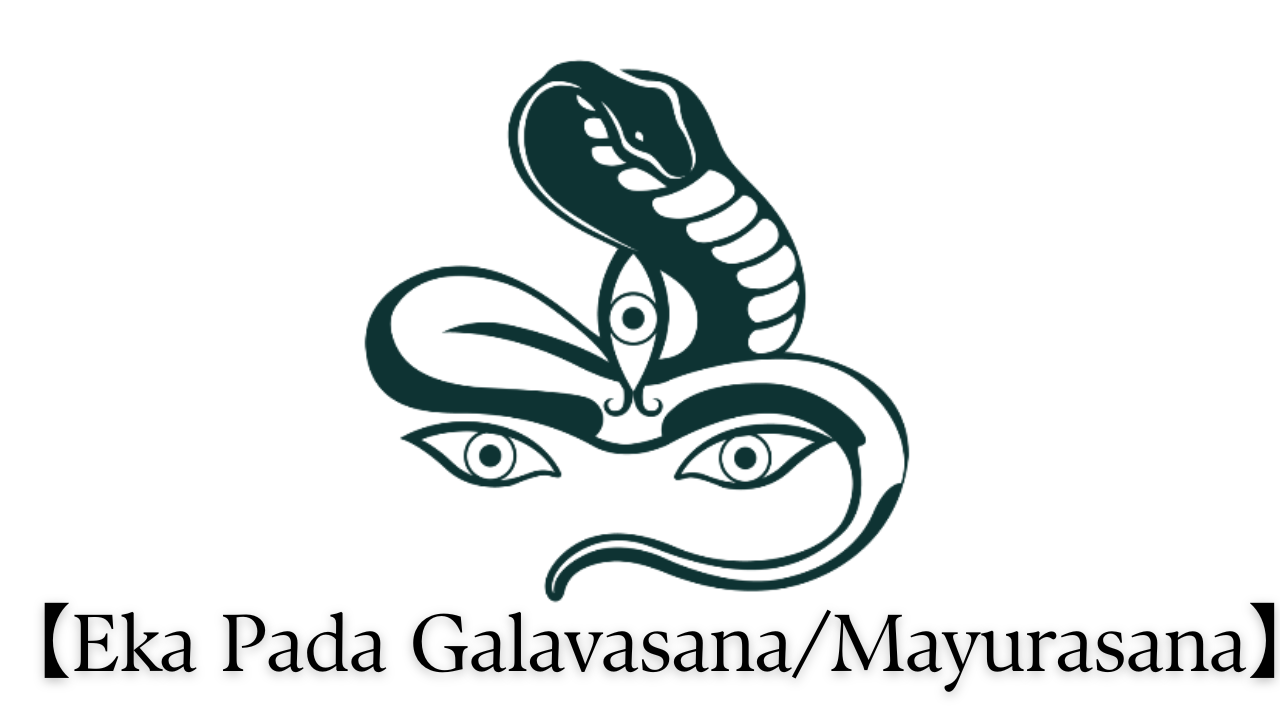 6th April【Eka Pada Galavasana:Mayurasana】.png
