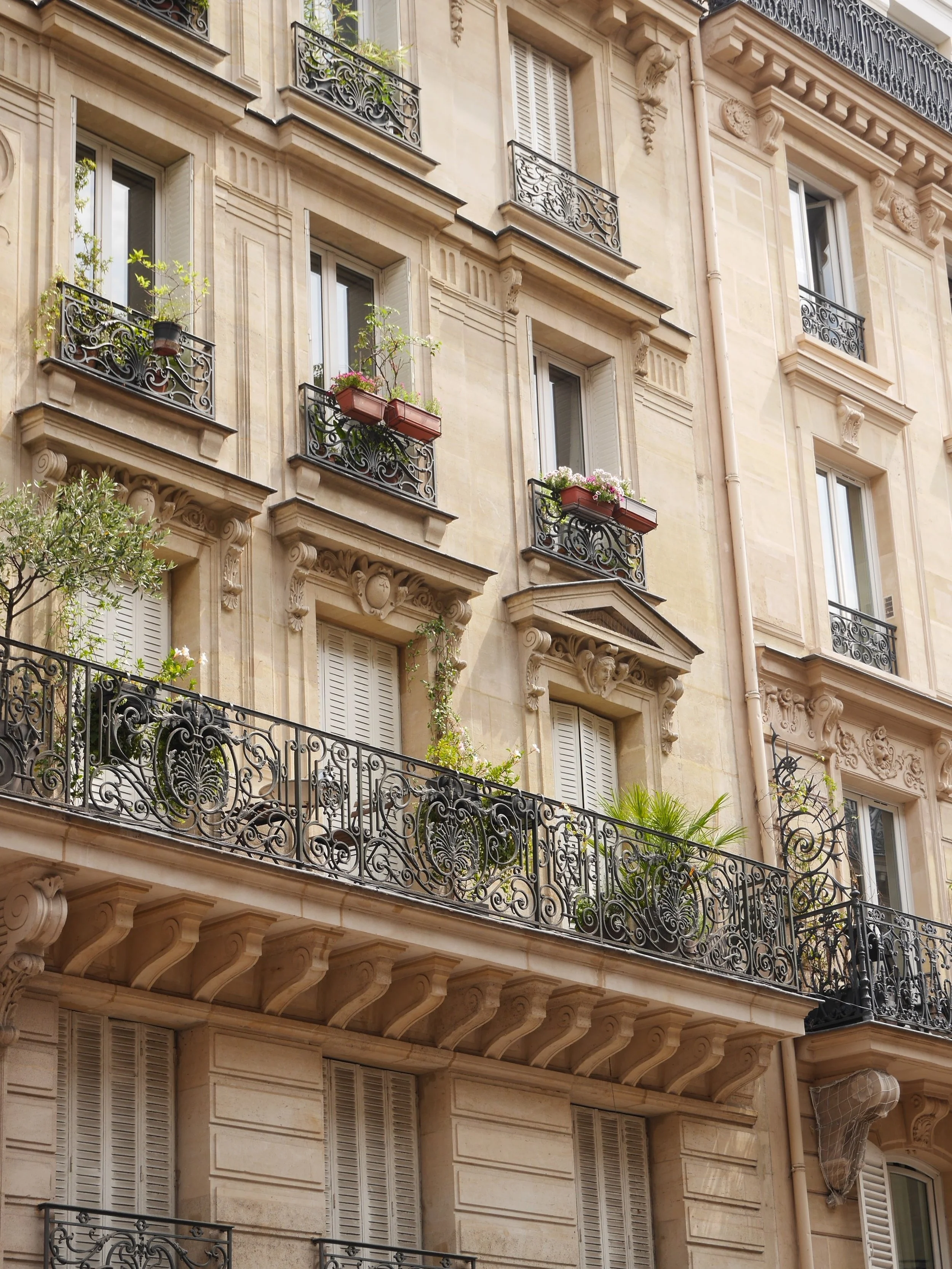 .
It&rsquo;s been a month since I arrived in Paris.

毎日いろいろなことが起こって、気づけば時間は一瞬で過ぎていく。その反対に、新しい出会いや学びで、一日一日はとても濃く、長く感じる。

時間は速く流れているのに、毎日はこんなにも濃い。不思議な1ヶ月。

#paris #france🇫🇷