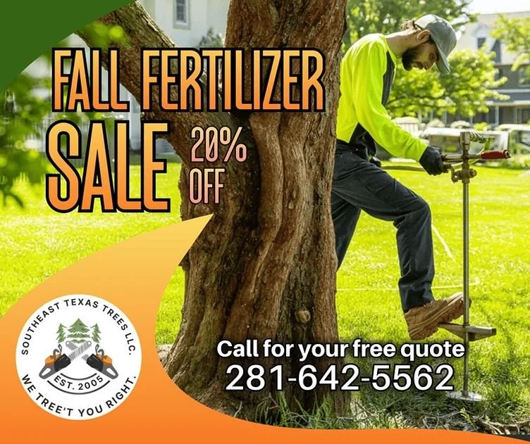 Southeast Texas Trees Fall Fertilizer Sale – 20% OFF Root Injection Treatments!