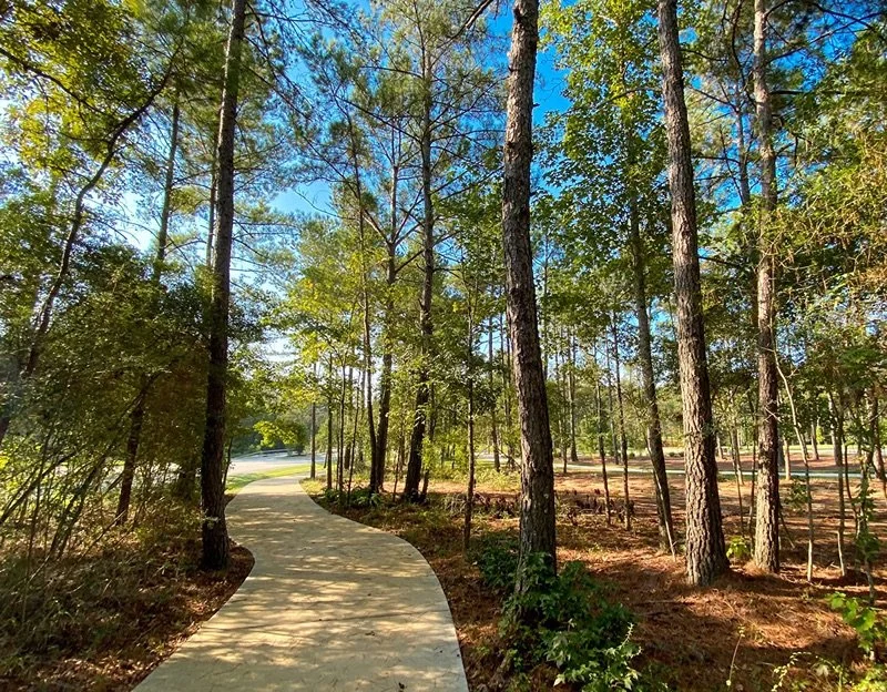 The Value of Native Trees in The Woodlands, TX