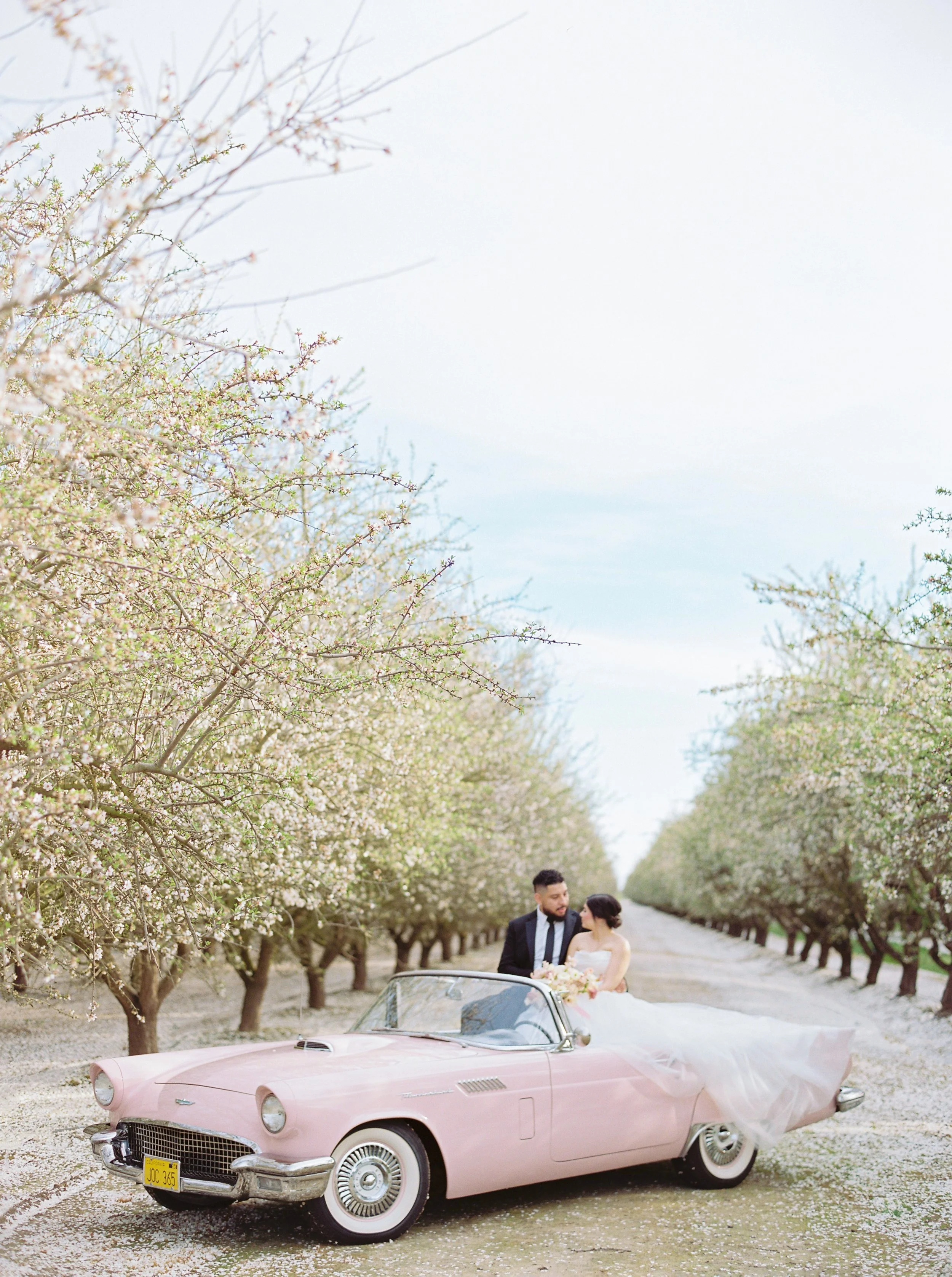 SpringBlossomConentdayJodyAtkinsonPhotography0320.jpg