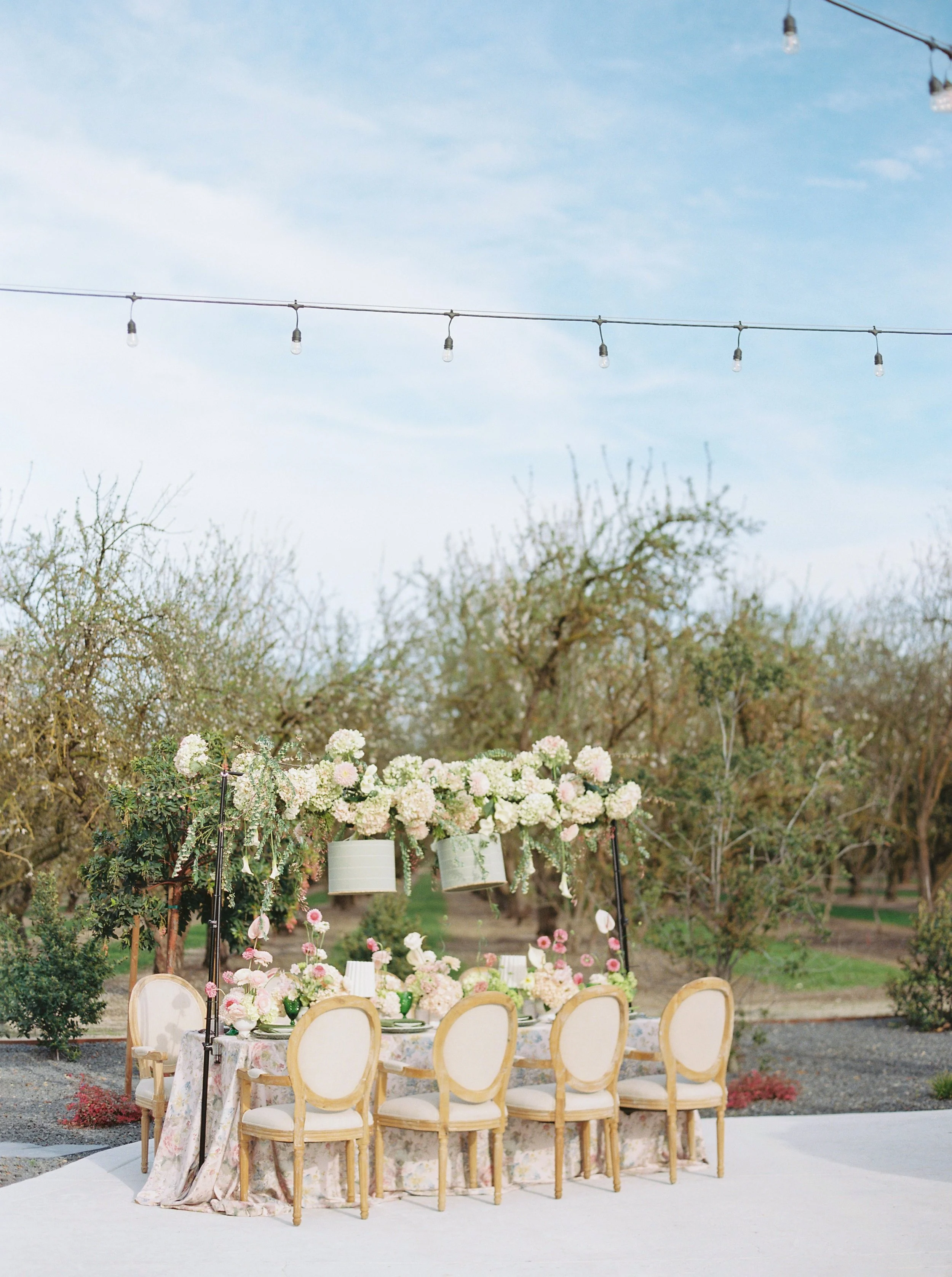SpringBlossomContentdayJodyAtkinsonPhotography0019.jpg