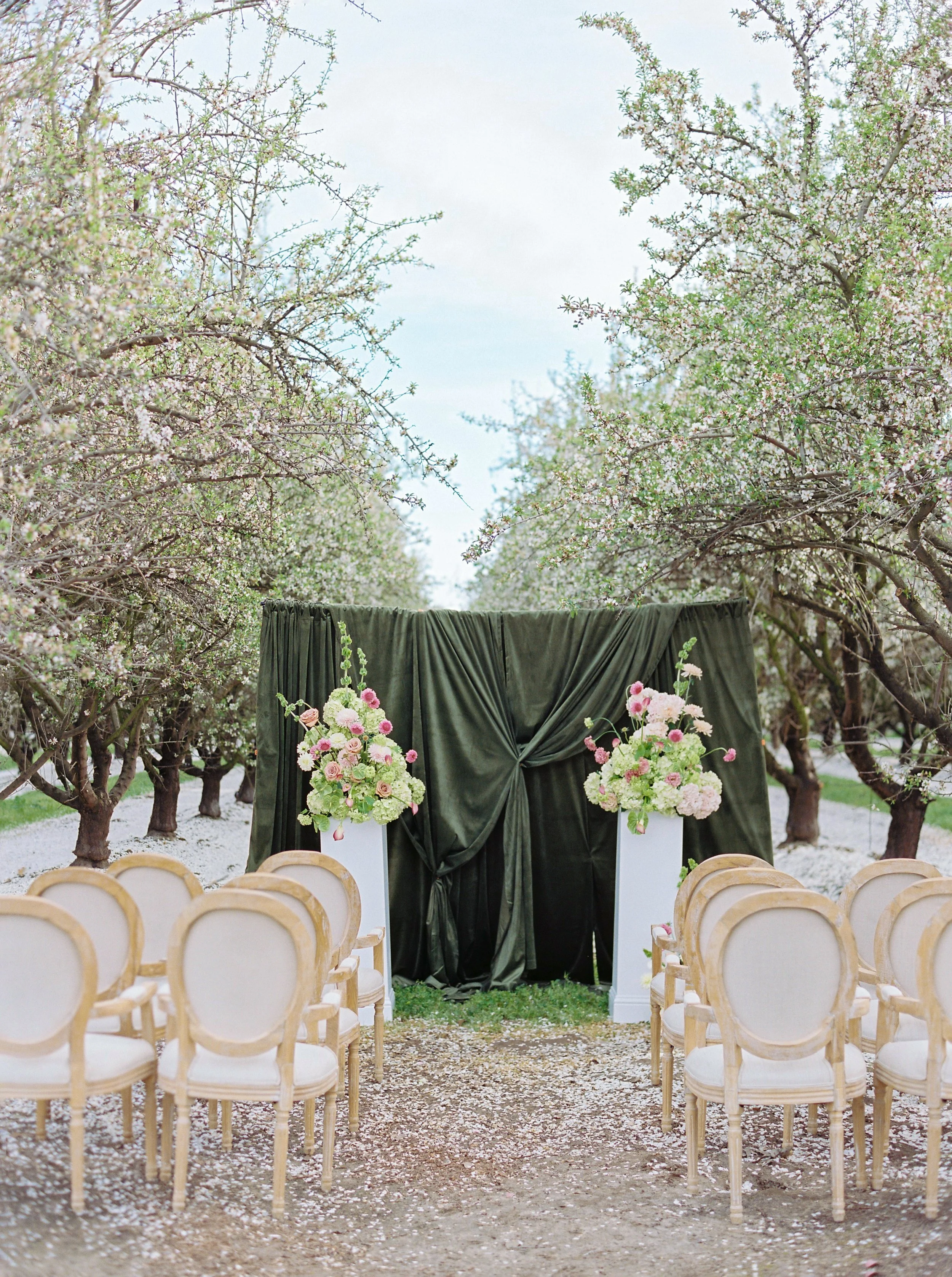 SpringBlossomConentdayJodyAtkinsonPhotography0314.jpg