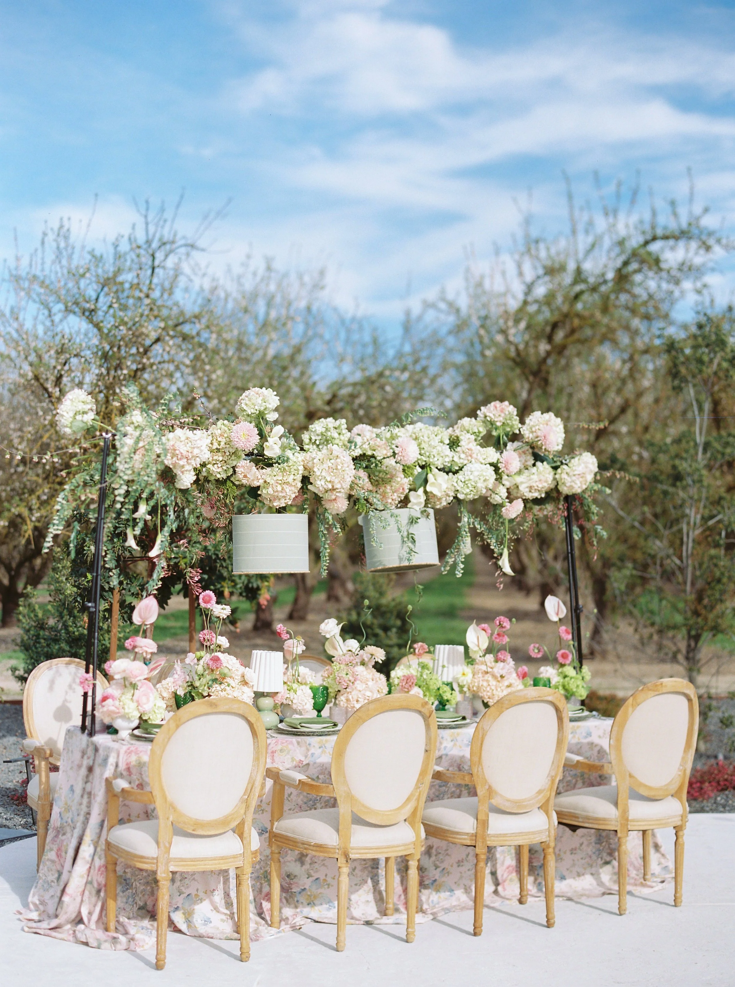 SpringBlossomContentdayJodyAtkinsonPhotography0029.jpg