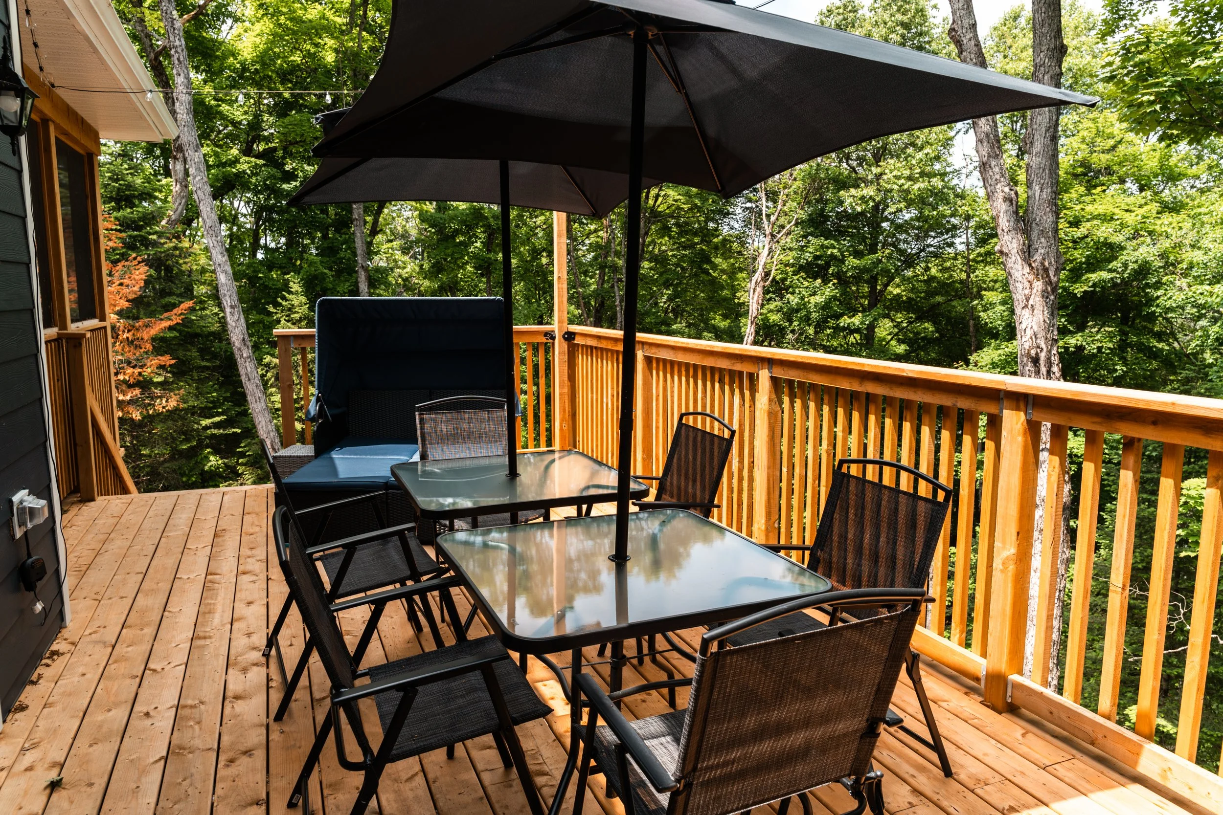 Hill Top summer 2025 -20.jpg