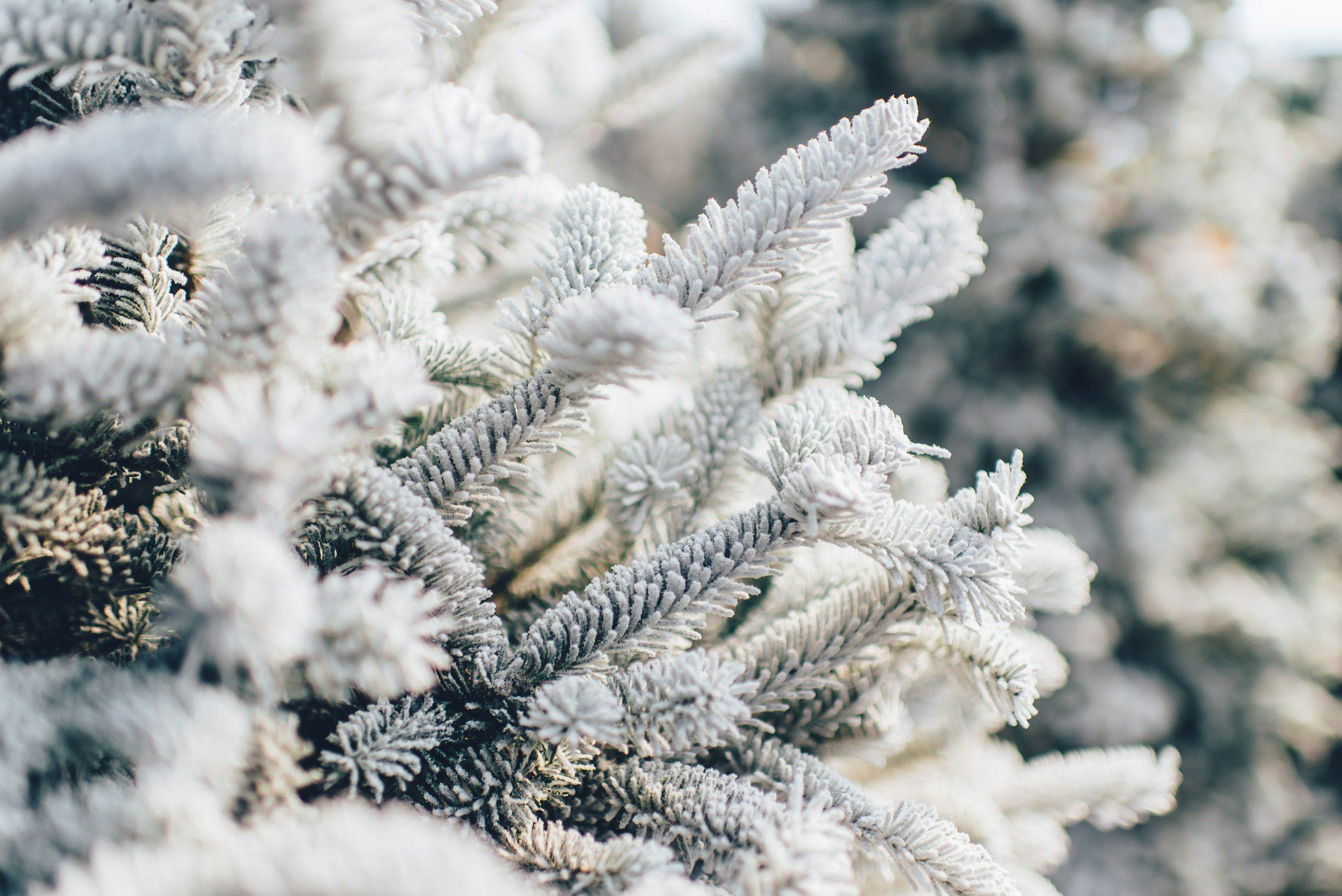 Three Tips for Navigating the Winter Blues