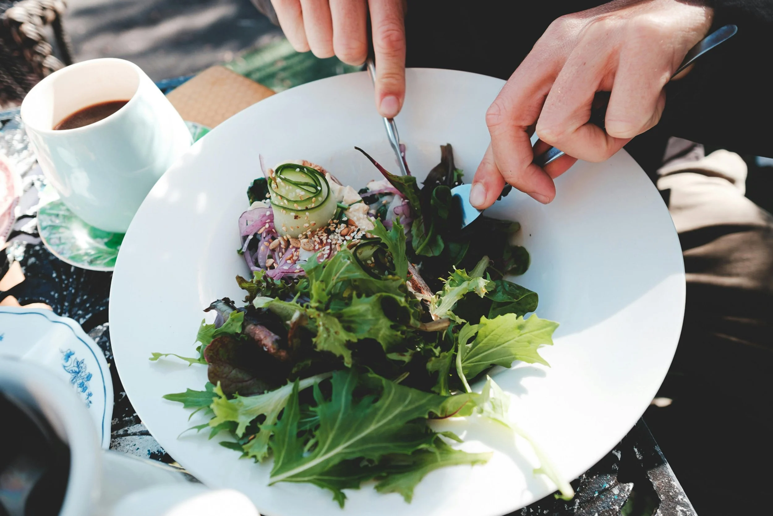 Healthy and Hearty Recipes