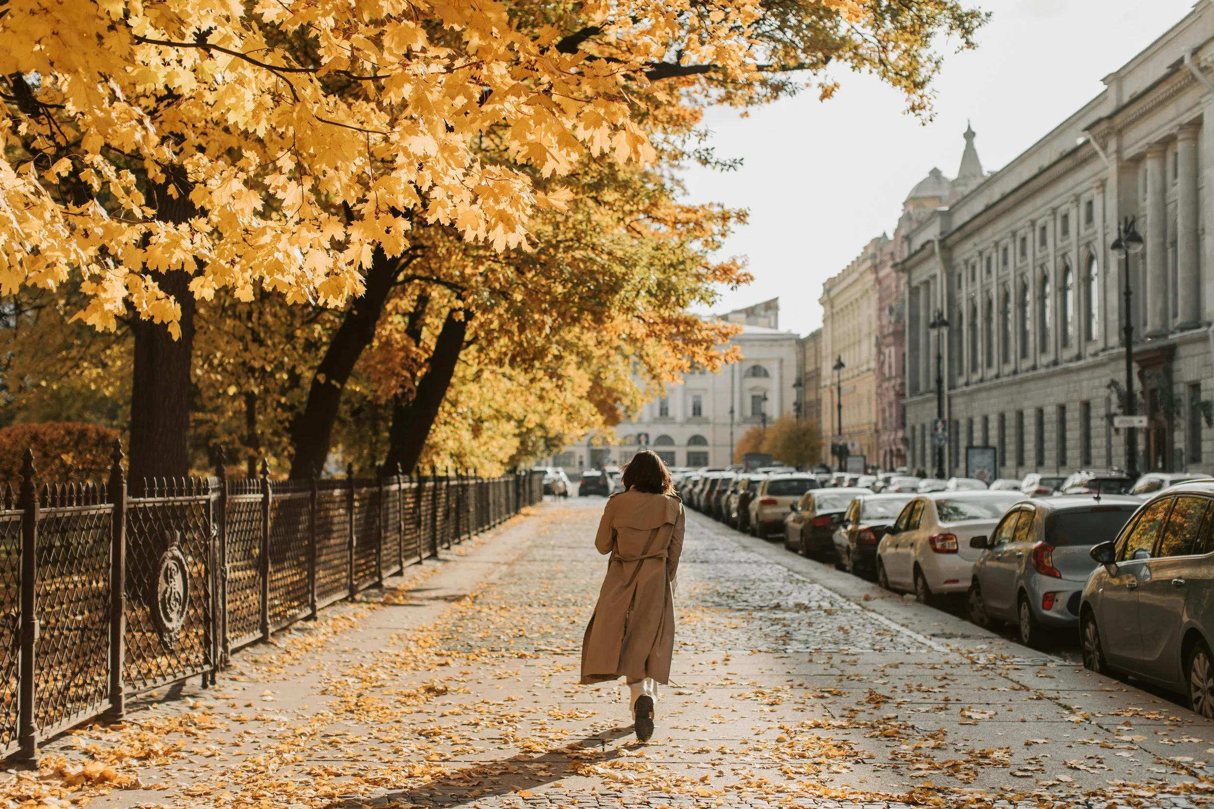 Cozy Things for Fall
